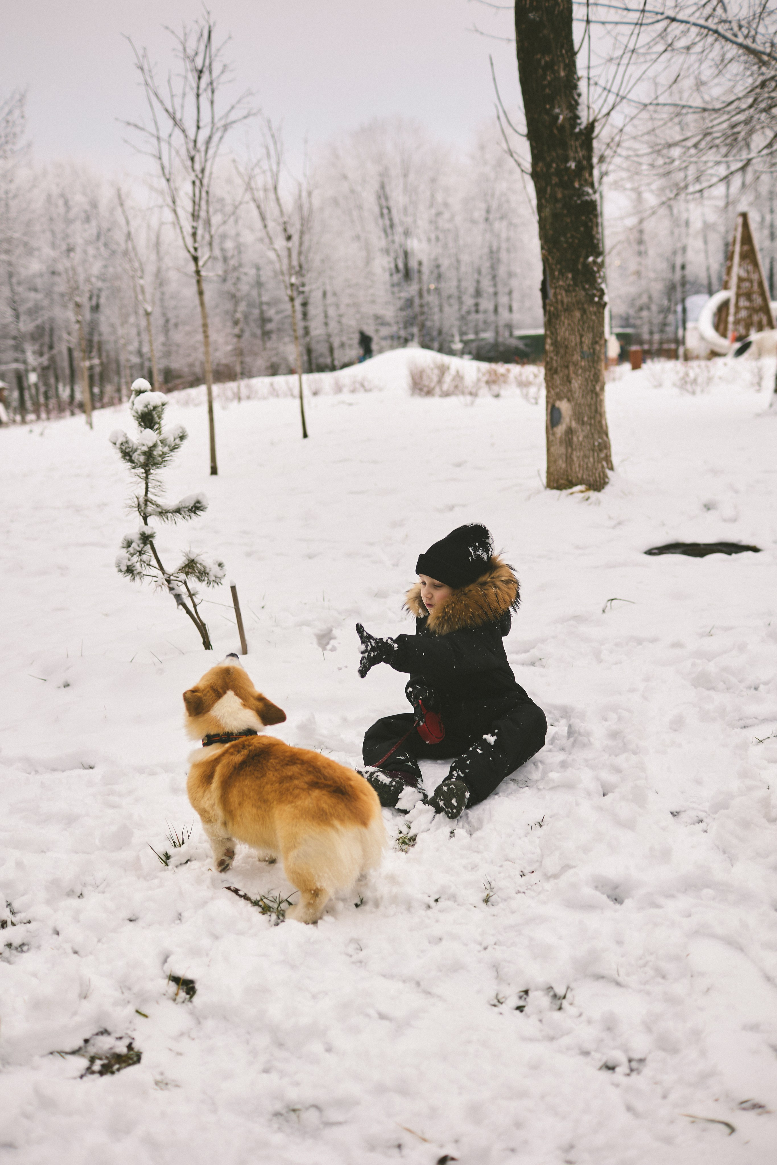 FAMILY 2.0. Фотограф Мария Сивохина