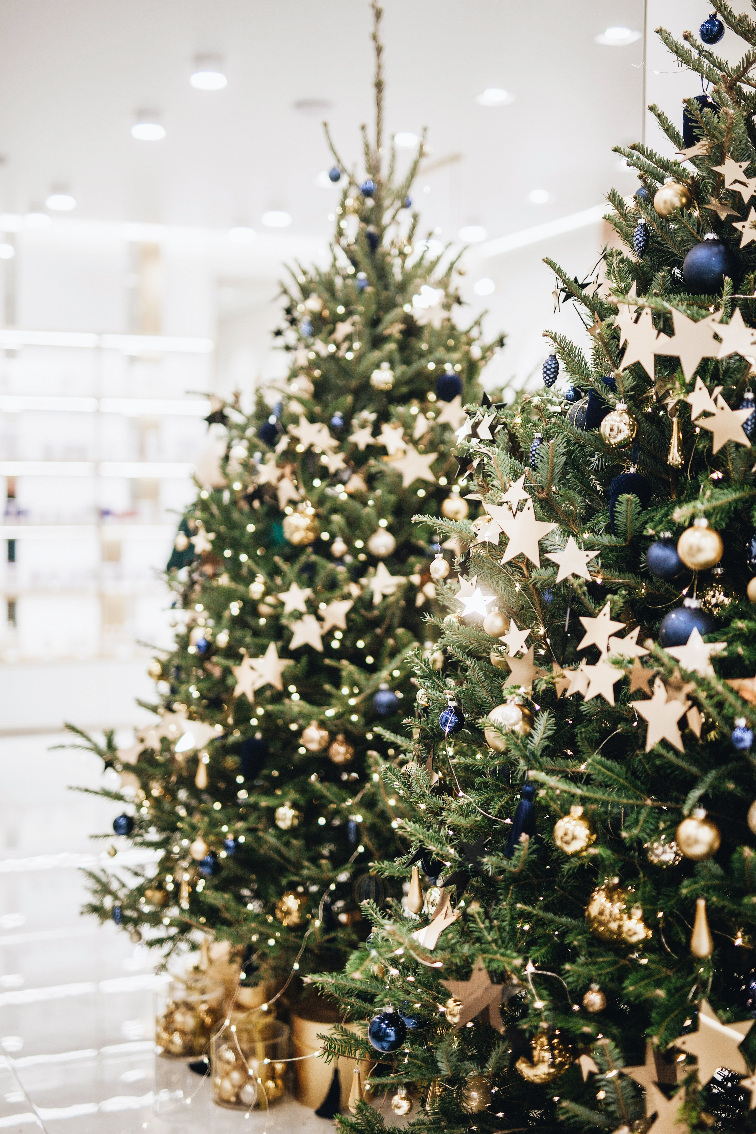 Тисс 2023. Ксения Почтарь. Декоратор и флорист, город Владивосток