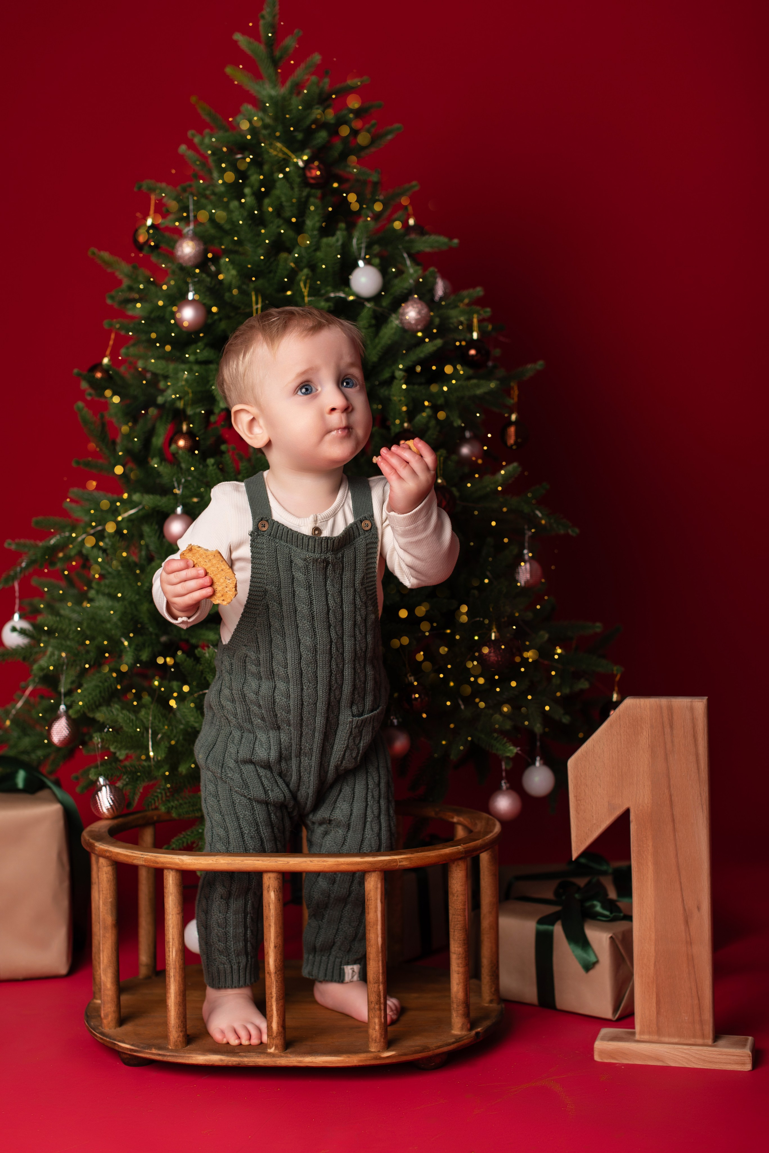 Новый год. Фотограф новорожденных и беременности Сергиев Посад Усачева Ирина