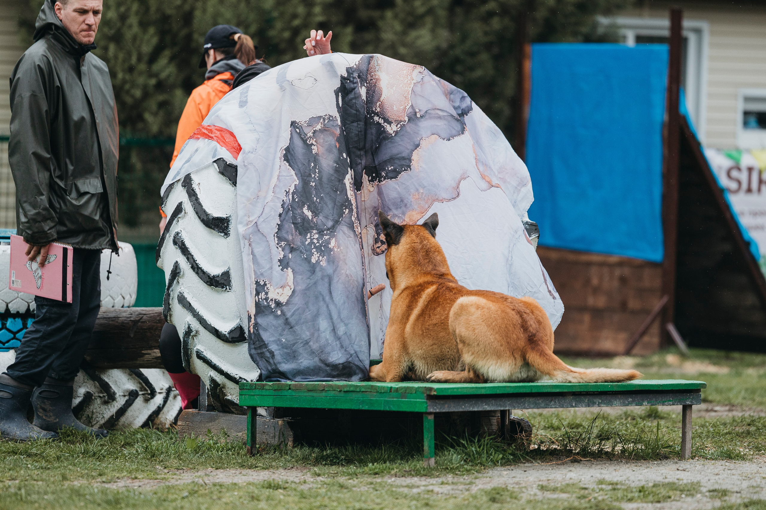 Геленджик Мондьоринг. Фотограф-анималист Анна Маринич