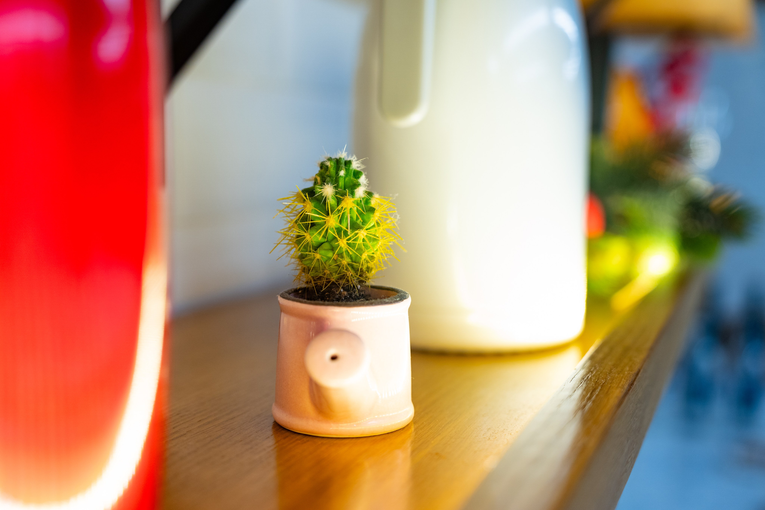 Новиков Скул — Сладкий зал. Фотограф Никита Комаров