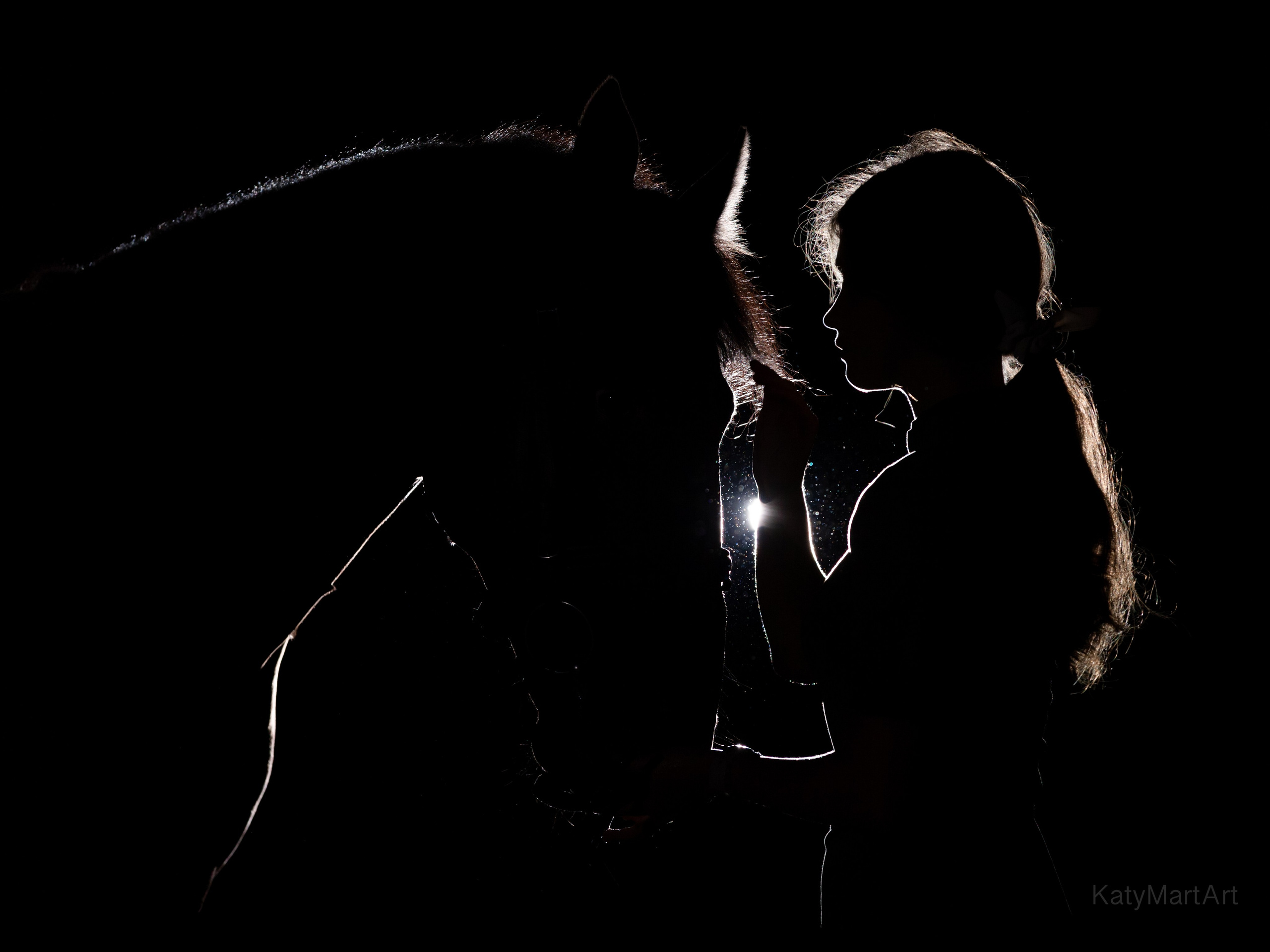 Вместе. KatymartArt — Equine photography