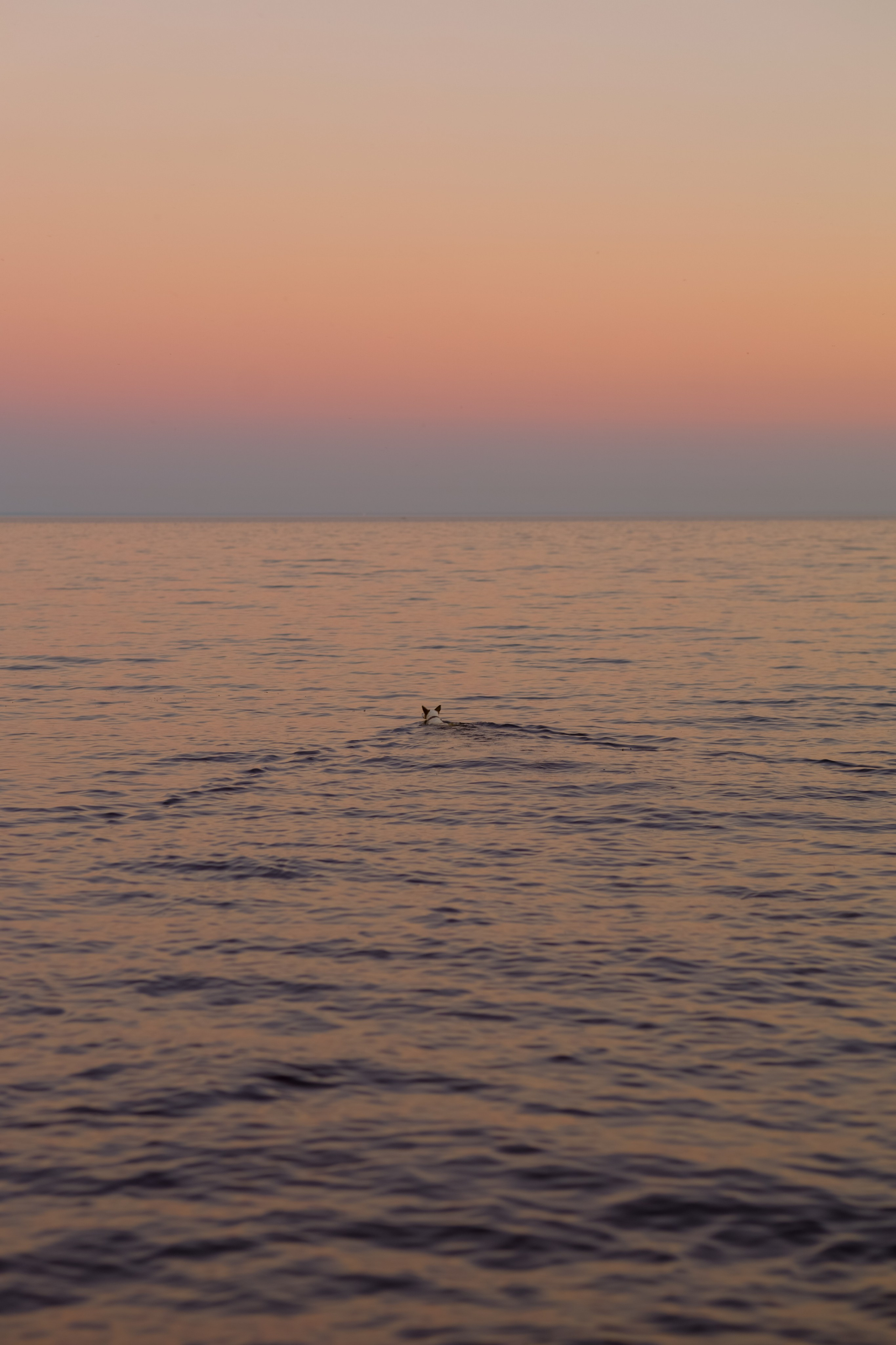 Природа &. Фотохудожник в СПб