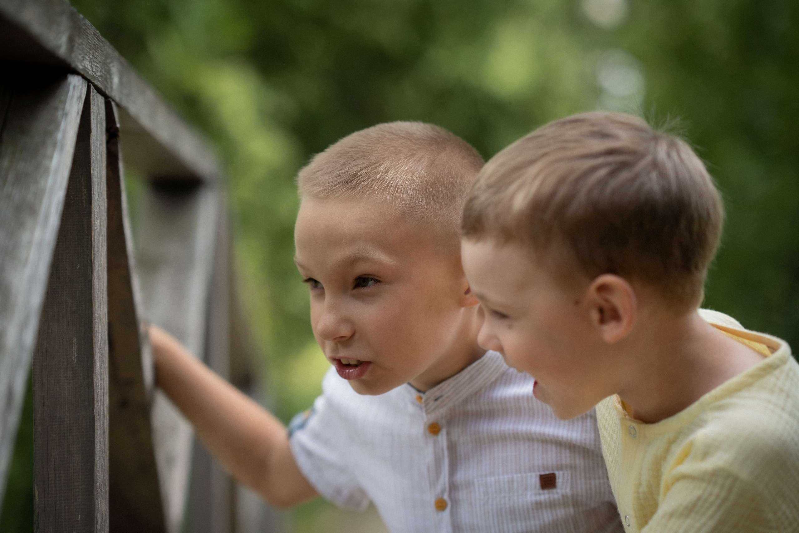 Андрюша и Евсюша. Семейный и детский фотограф в Сергиев Посаде, Хотьково Якимчук Любовь