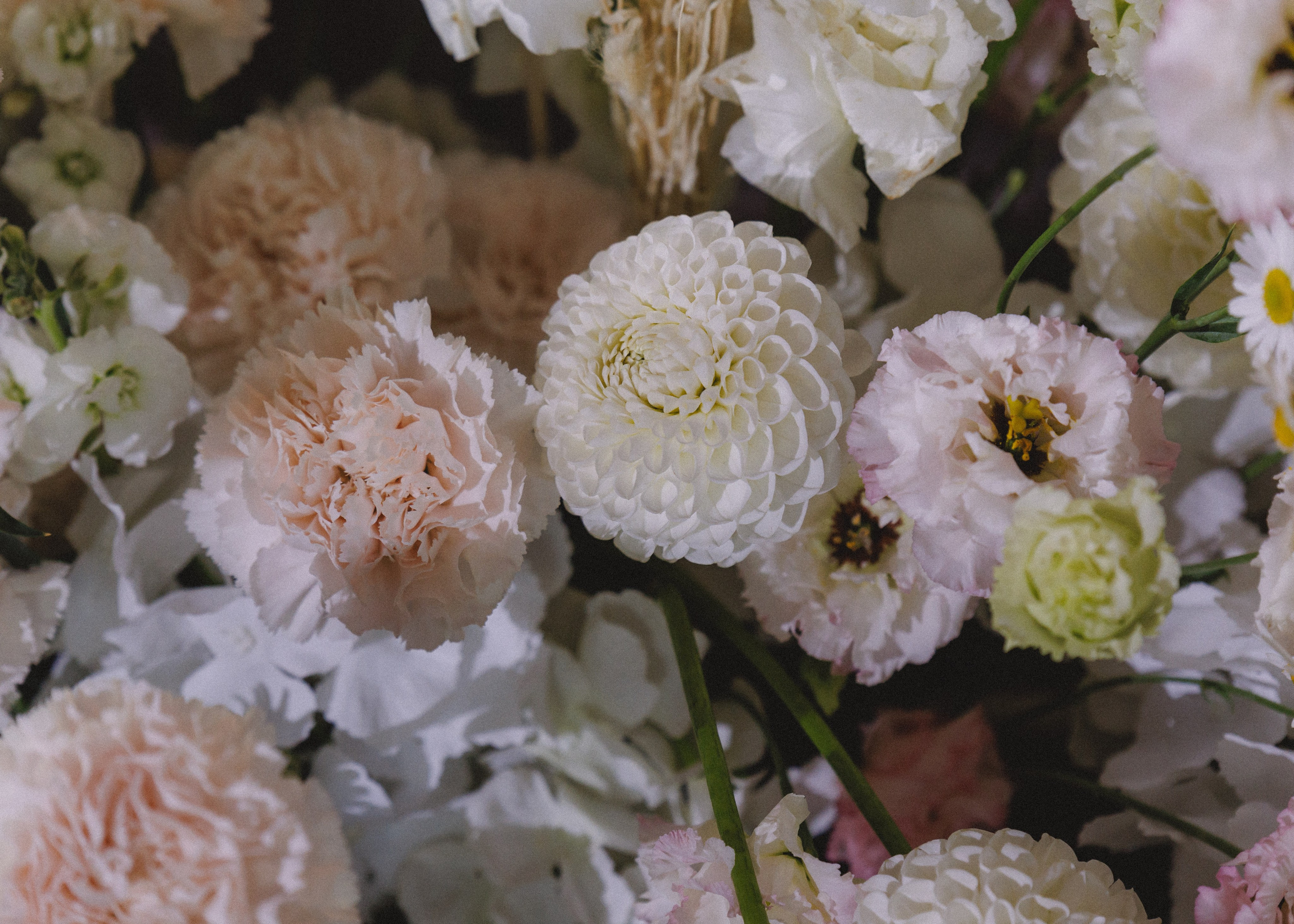 RUSSTYLE. Свадебный фотограф Владислав Адышкин