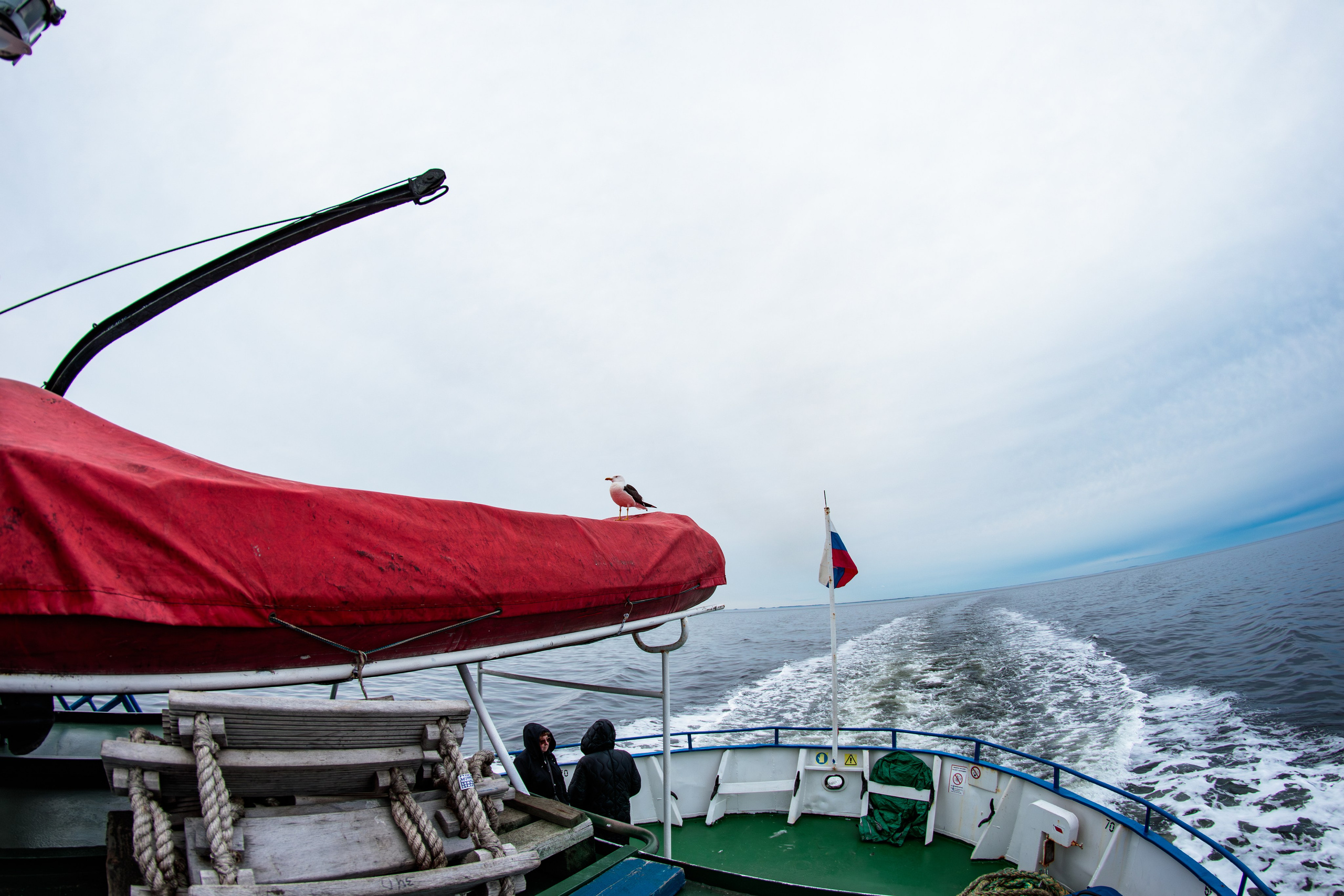 И вокруг меня. Портретный и концертный фотограф в Санкт-Петербурге Егор Телятников