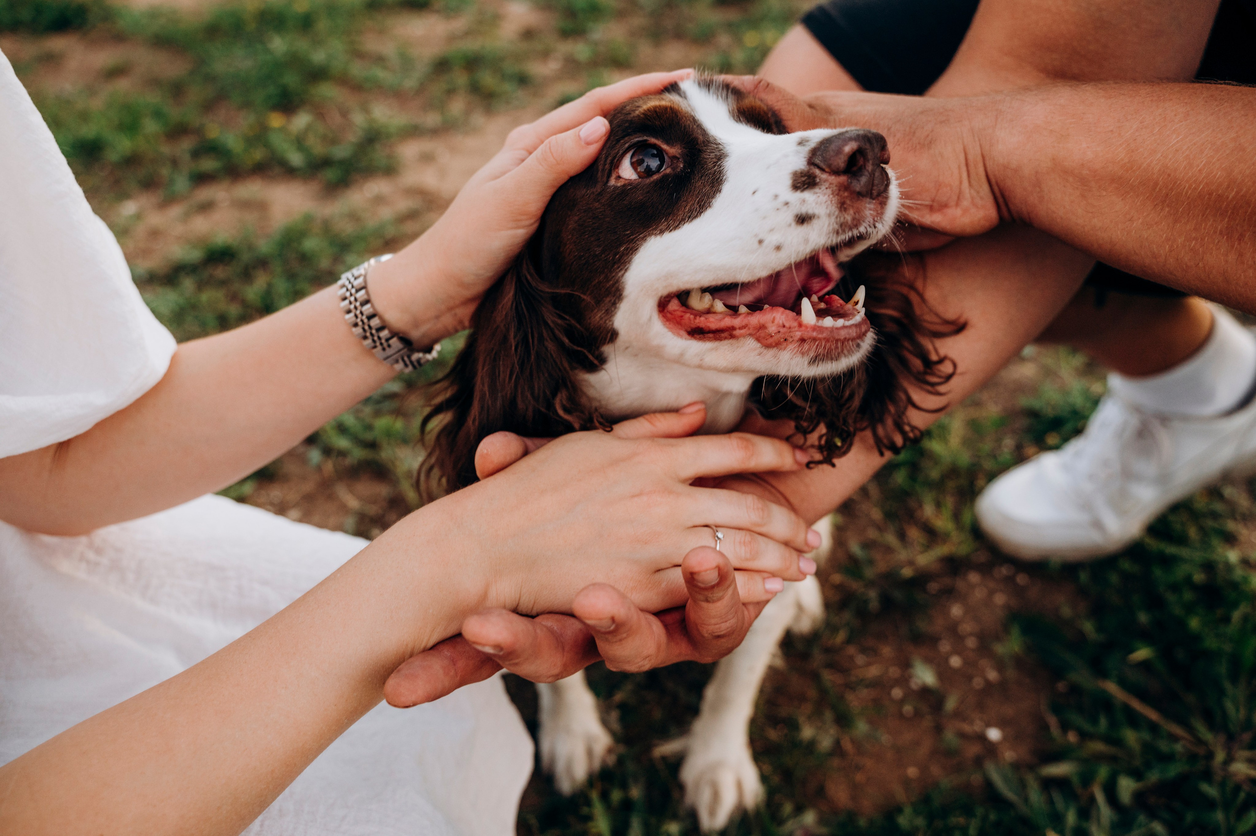 Счастье в закатных тонах. Семейный и детский фотограф Анастасия Монченко
