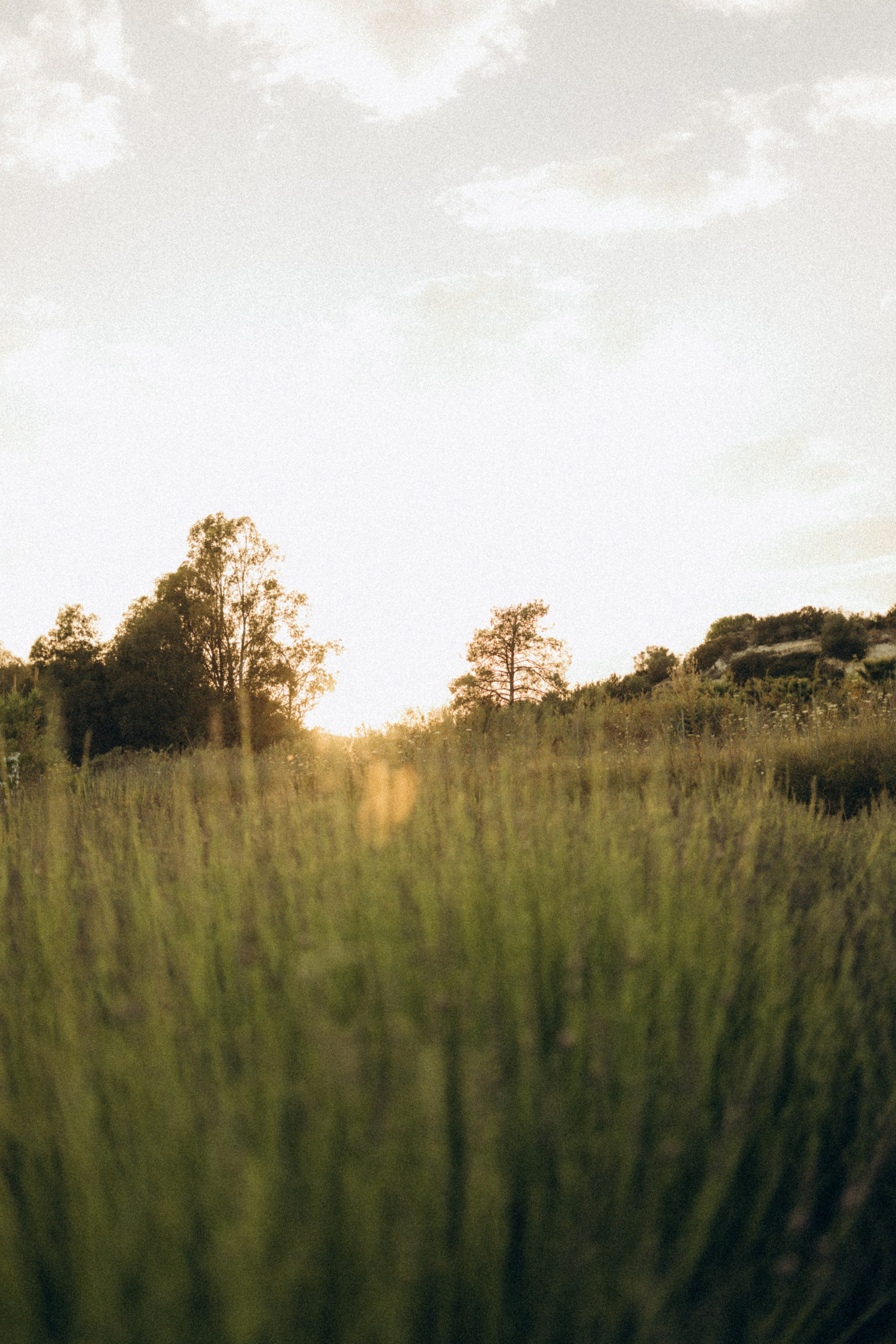 Инна. Анастасия Кацуба. Фотограф материнства и семейный фотограф. Валенсия