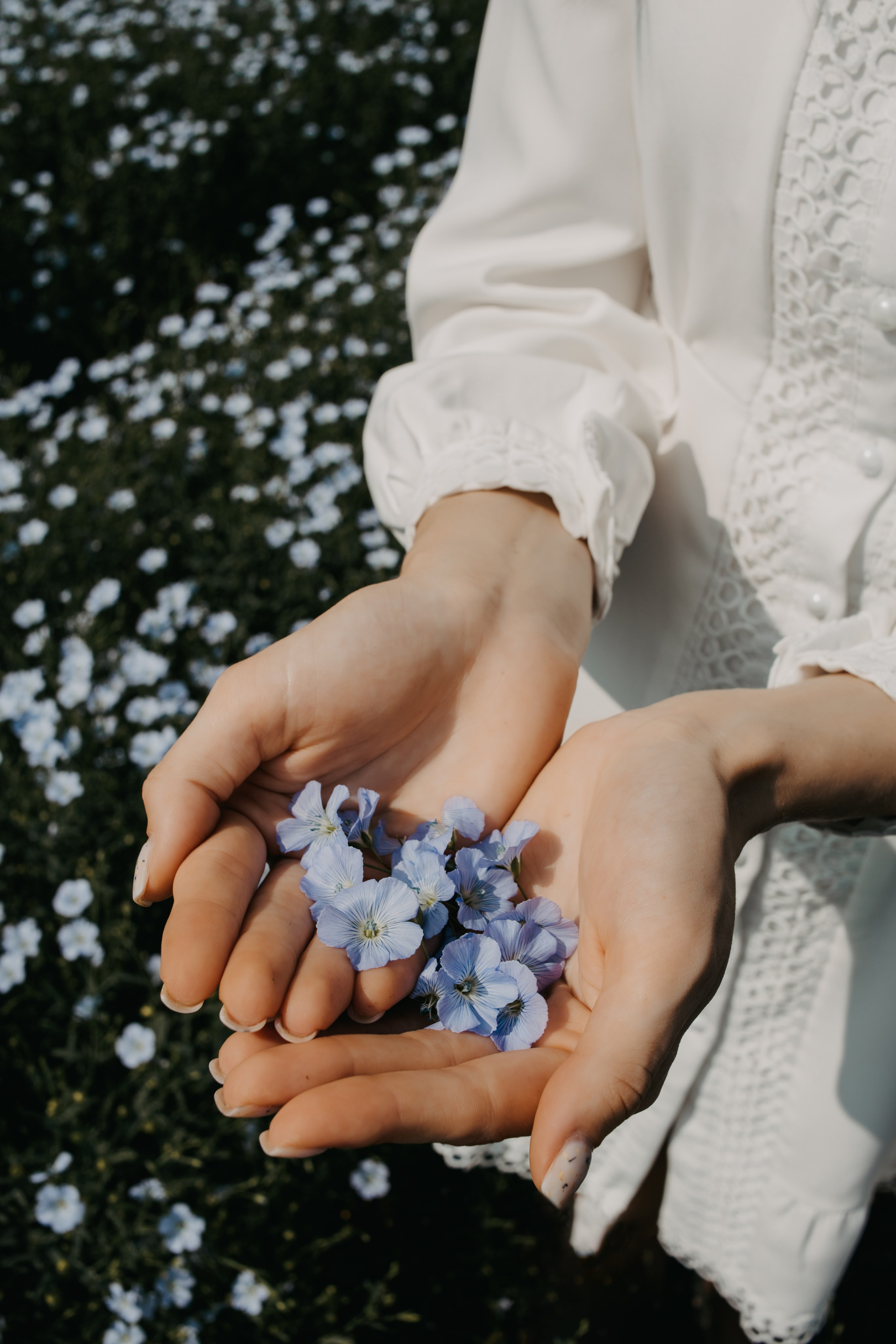 Фотосессия в поле льна. Свадебный и семейный фотограф в Краснодарском крае Мария Данилкина