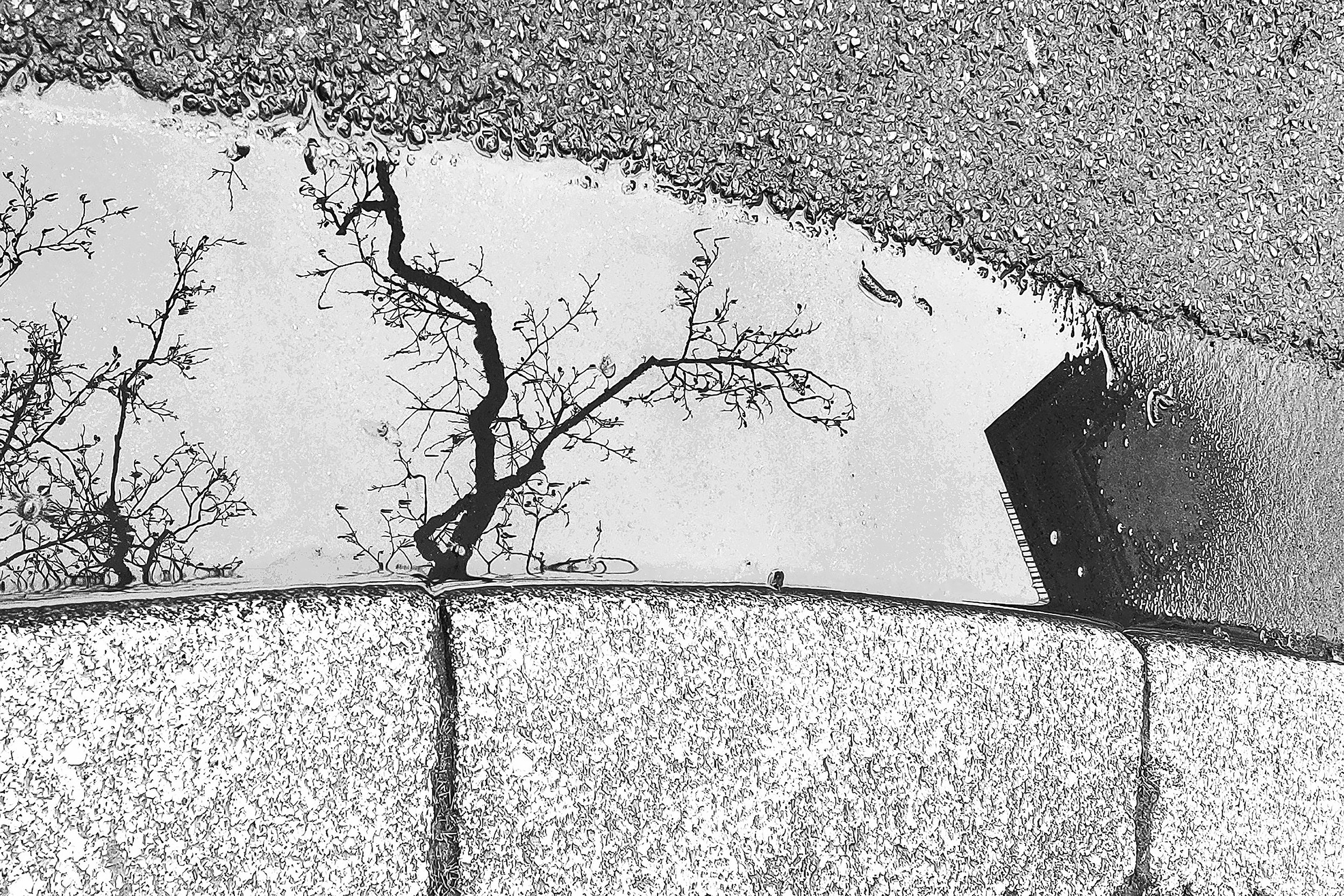 Фотография. Современное искусство. Германия. Висбаден