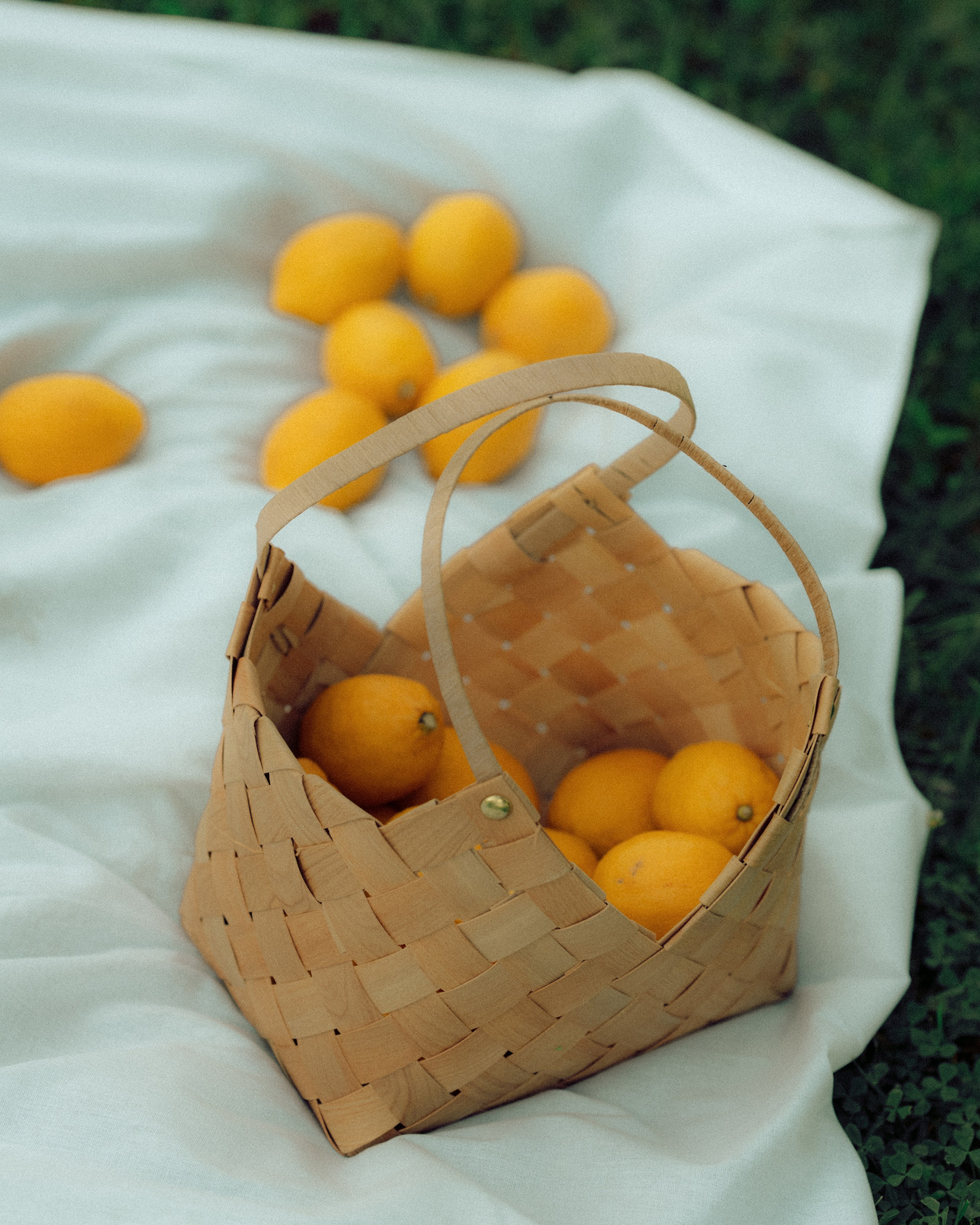 Маша LEMON. Бунгало в Москве.Аренда Бунгало в Мск