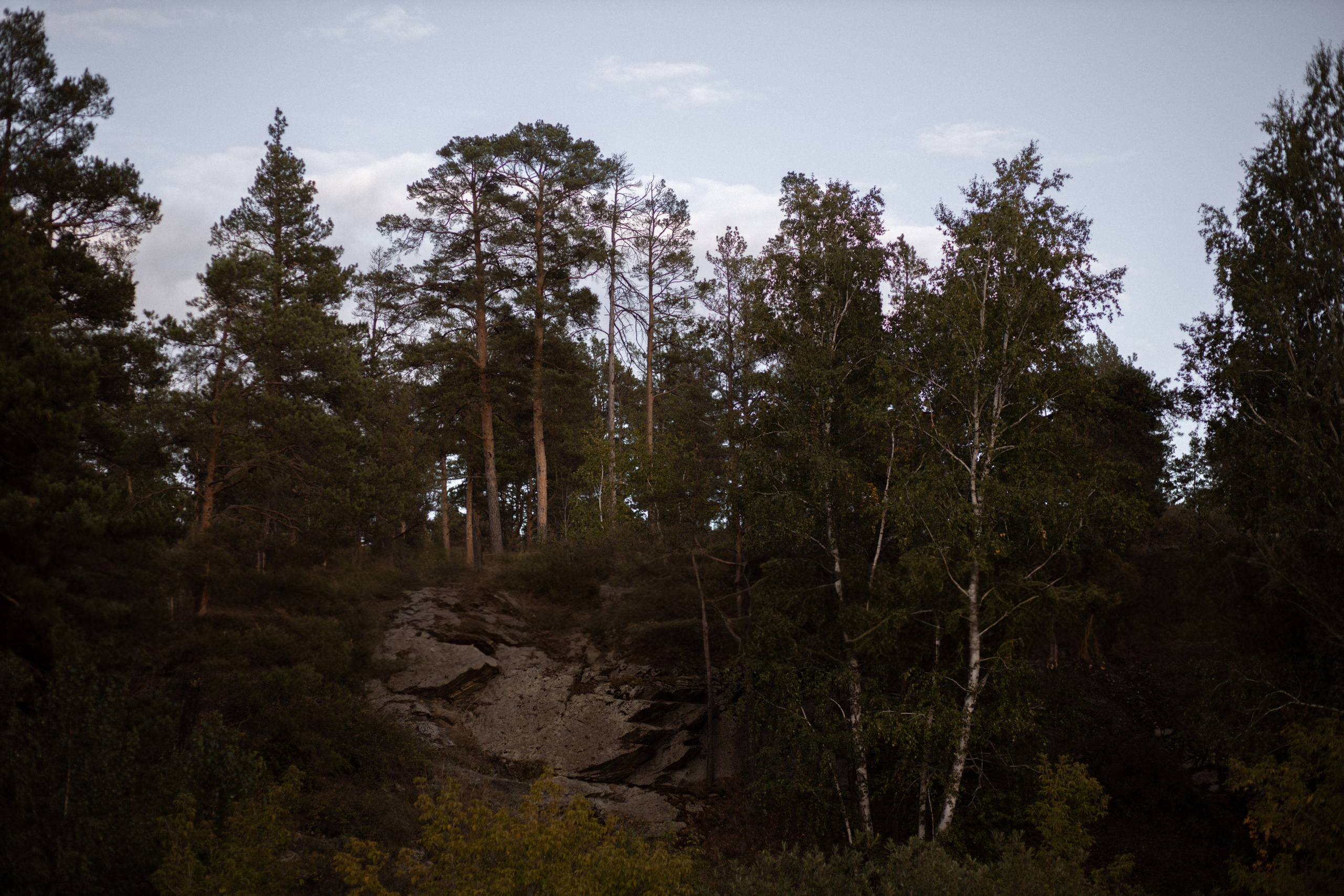 Артем и Диана (полный день). Свадебный фотограф Екатерина Черкасская