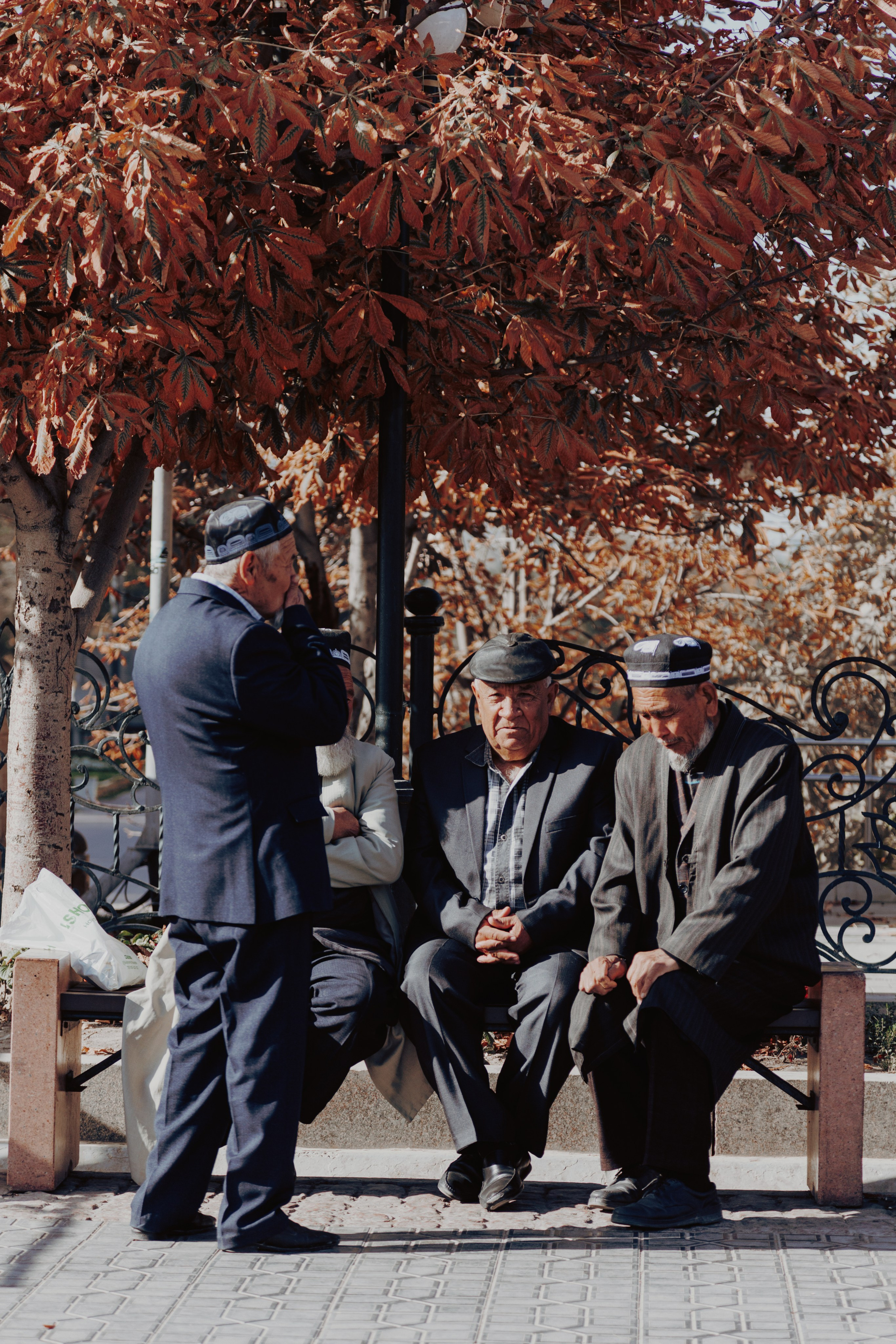 Узбекистан. Креатор Ольга Яш