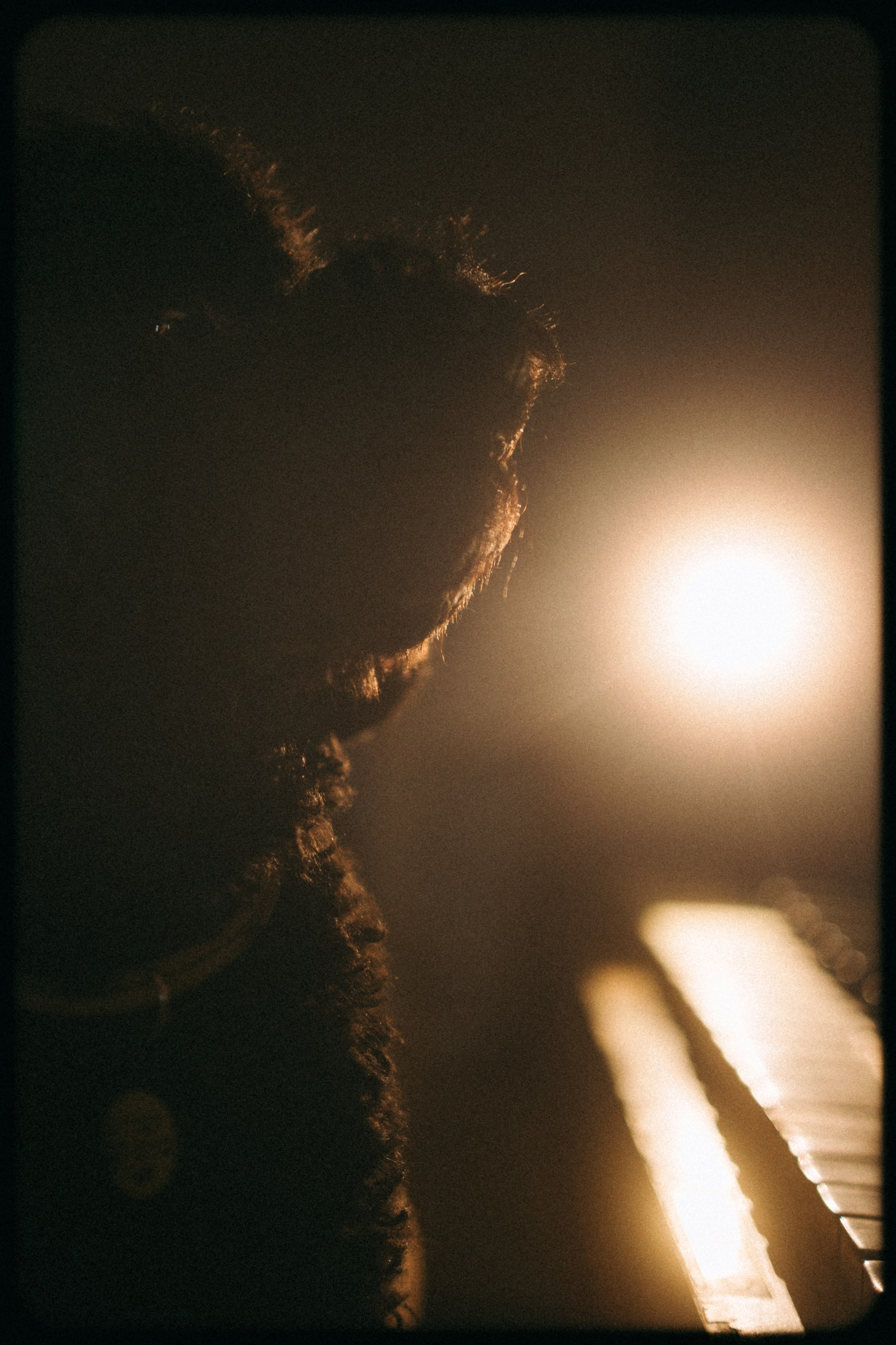 Полина и Мия. Фотораф — анималист Мария Шистка