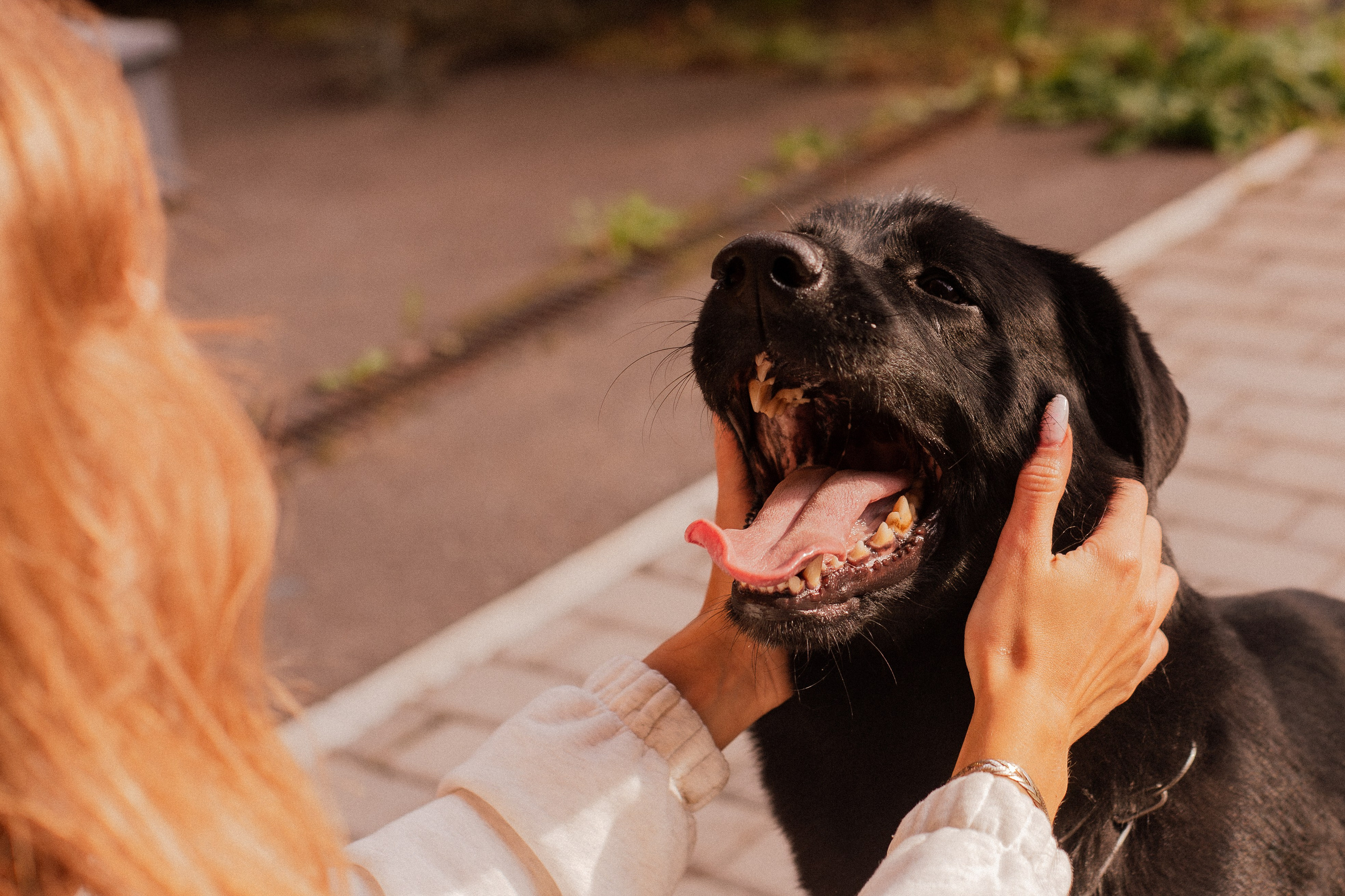 Анна и Лаки. Фотограф-анималист Мария Баркевич | Москва