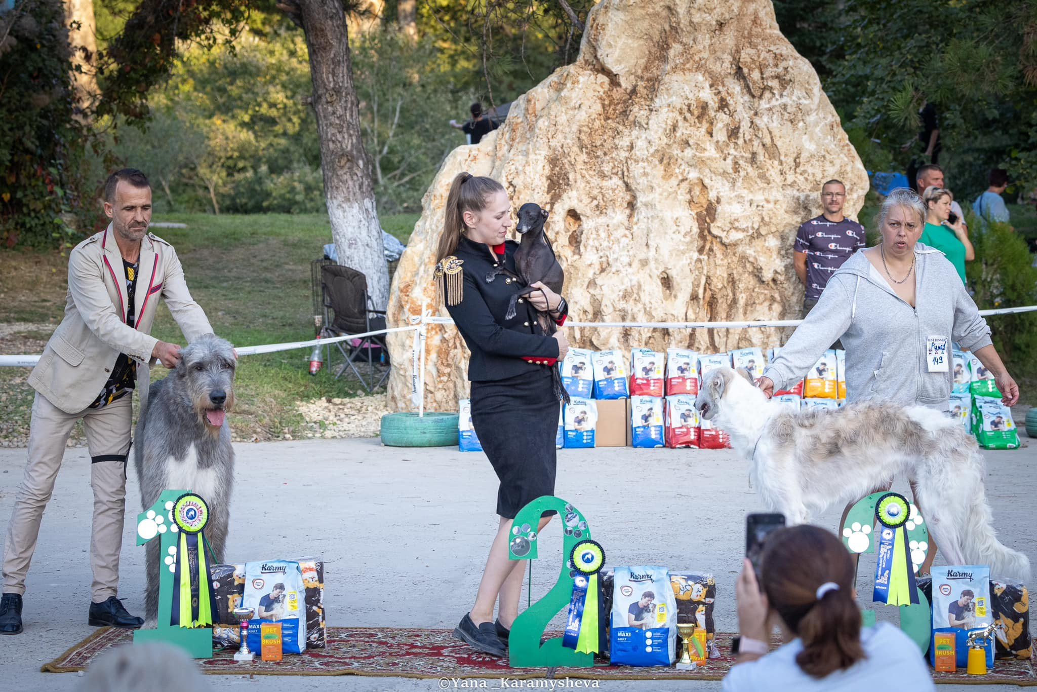 Asti Sapphire Esmeralda La Bella. Профессиональный питомник левреток РКФ/FCI ASTI SAPPHIRE 💎 Сочи|Санкт-Петербург