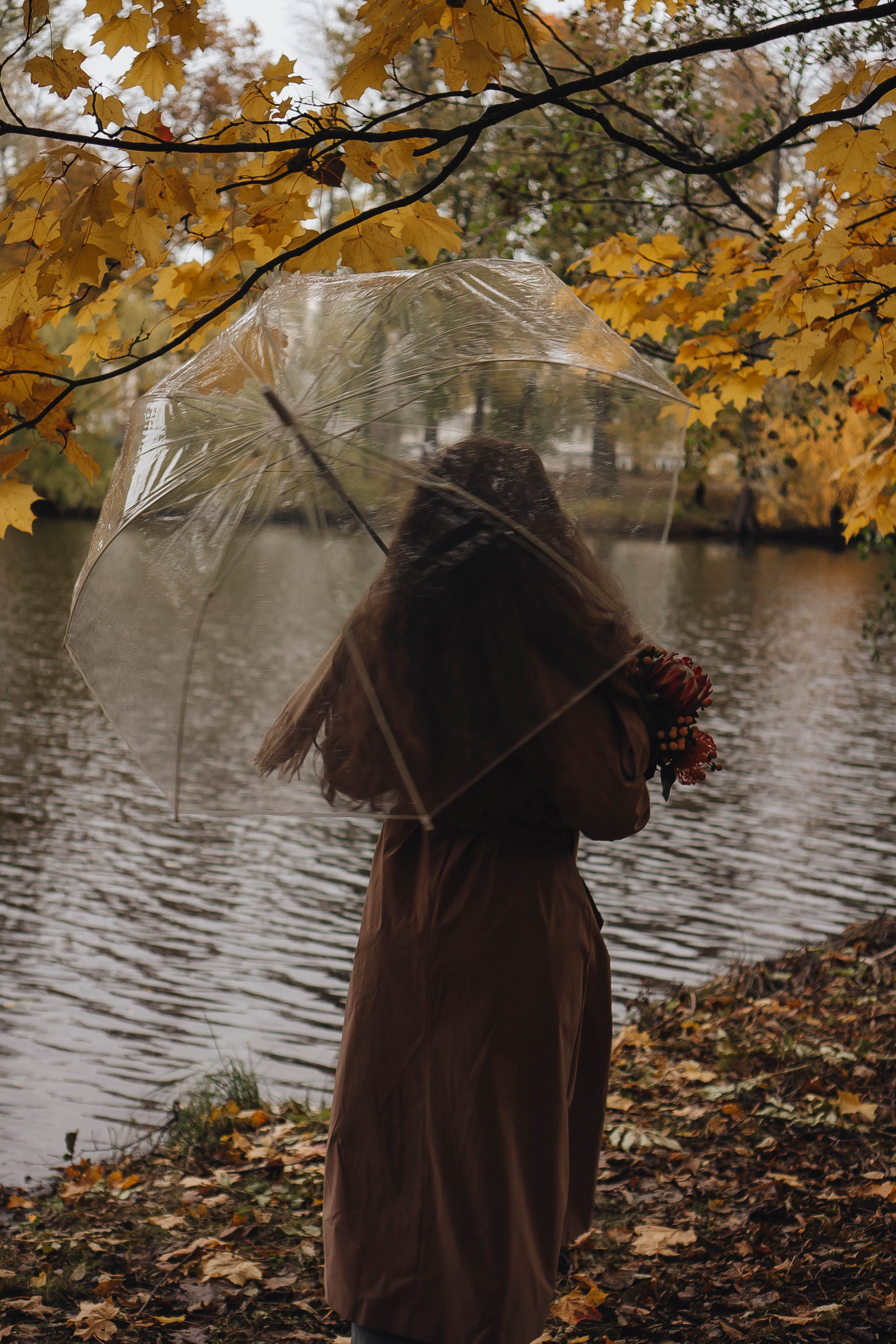 Осень. Профессиональный фотограф, Санкт-Петербург — Виктория Богомолова