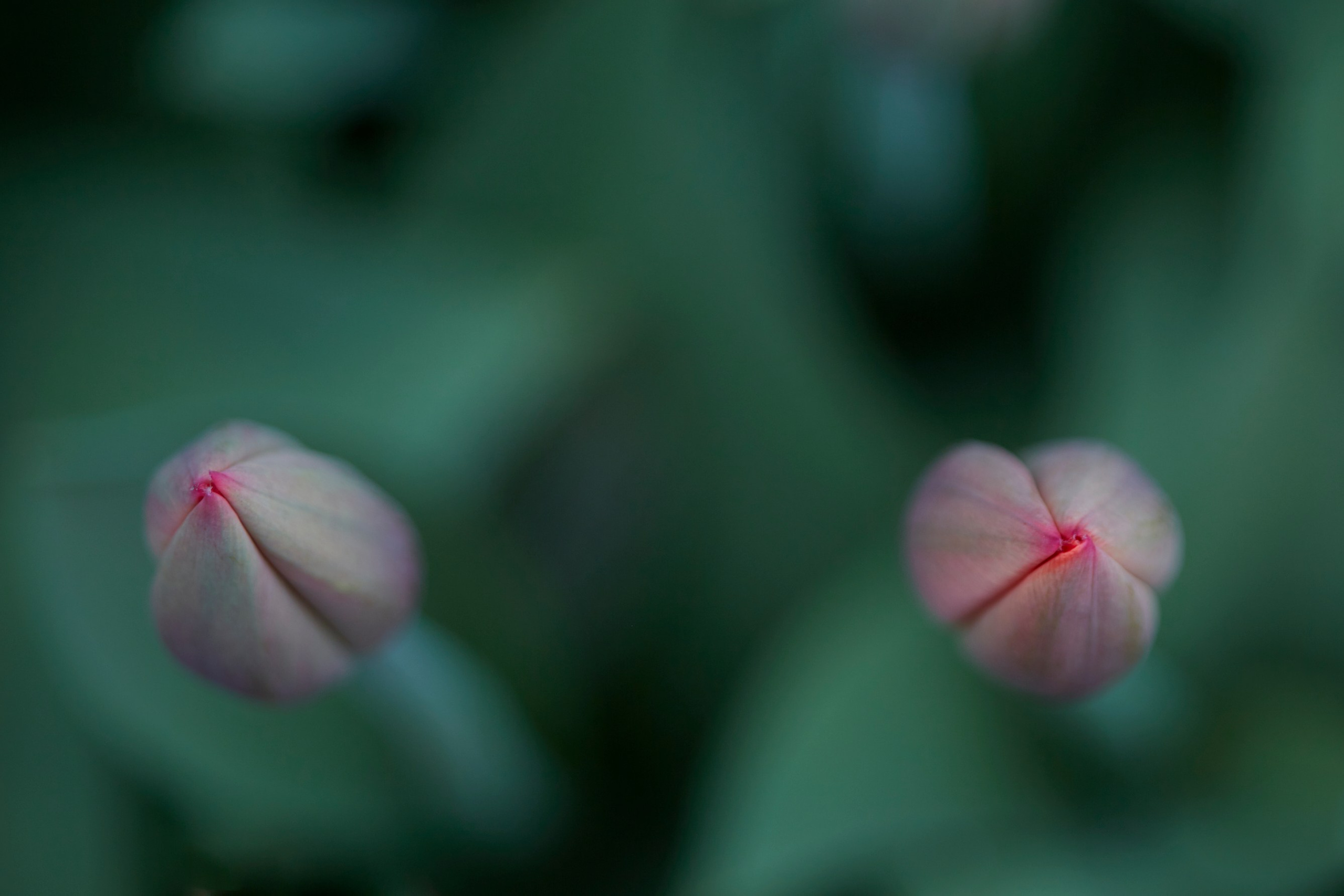 Коллекция «ПРИКОСНОВЕНИЕ». Лена Сми интерьерный и портретный фотограф. Москва и Санкт-Петербург