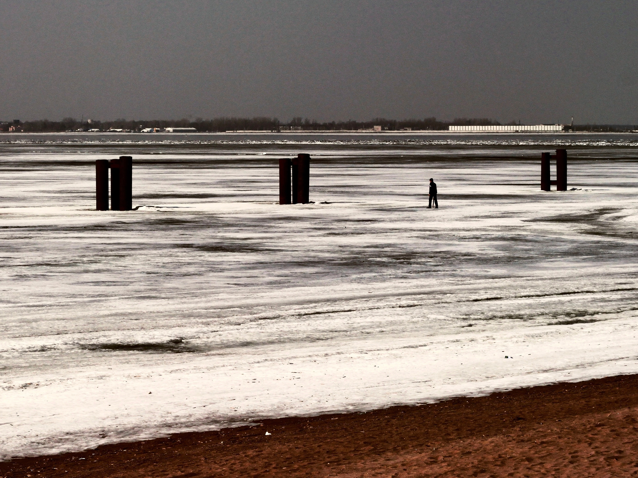 Strangers. Alina Panover