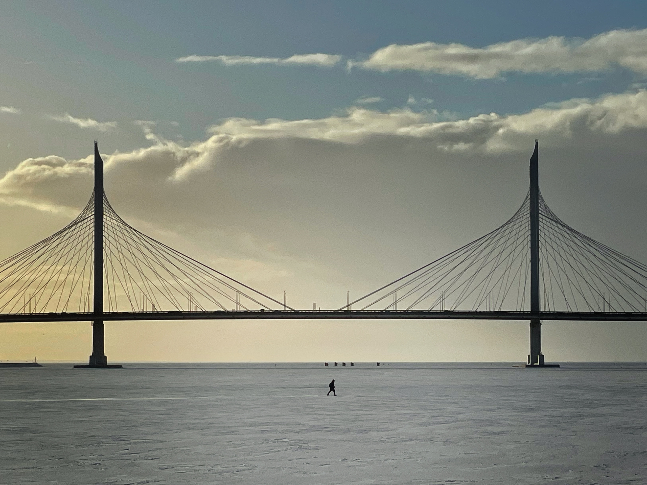 Strangers. Alina Panover