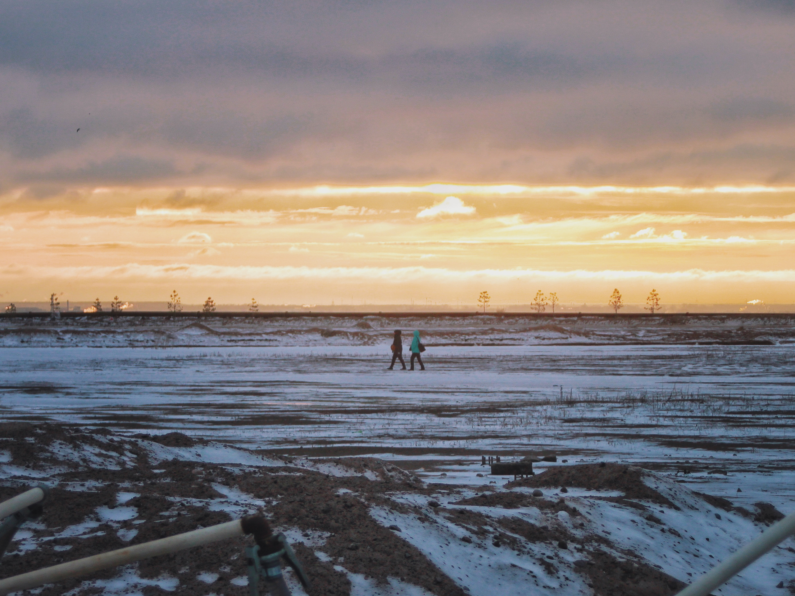 Strangers. Alina Panover