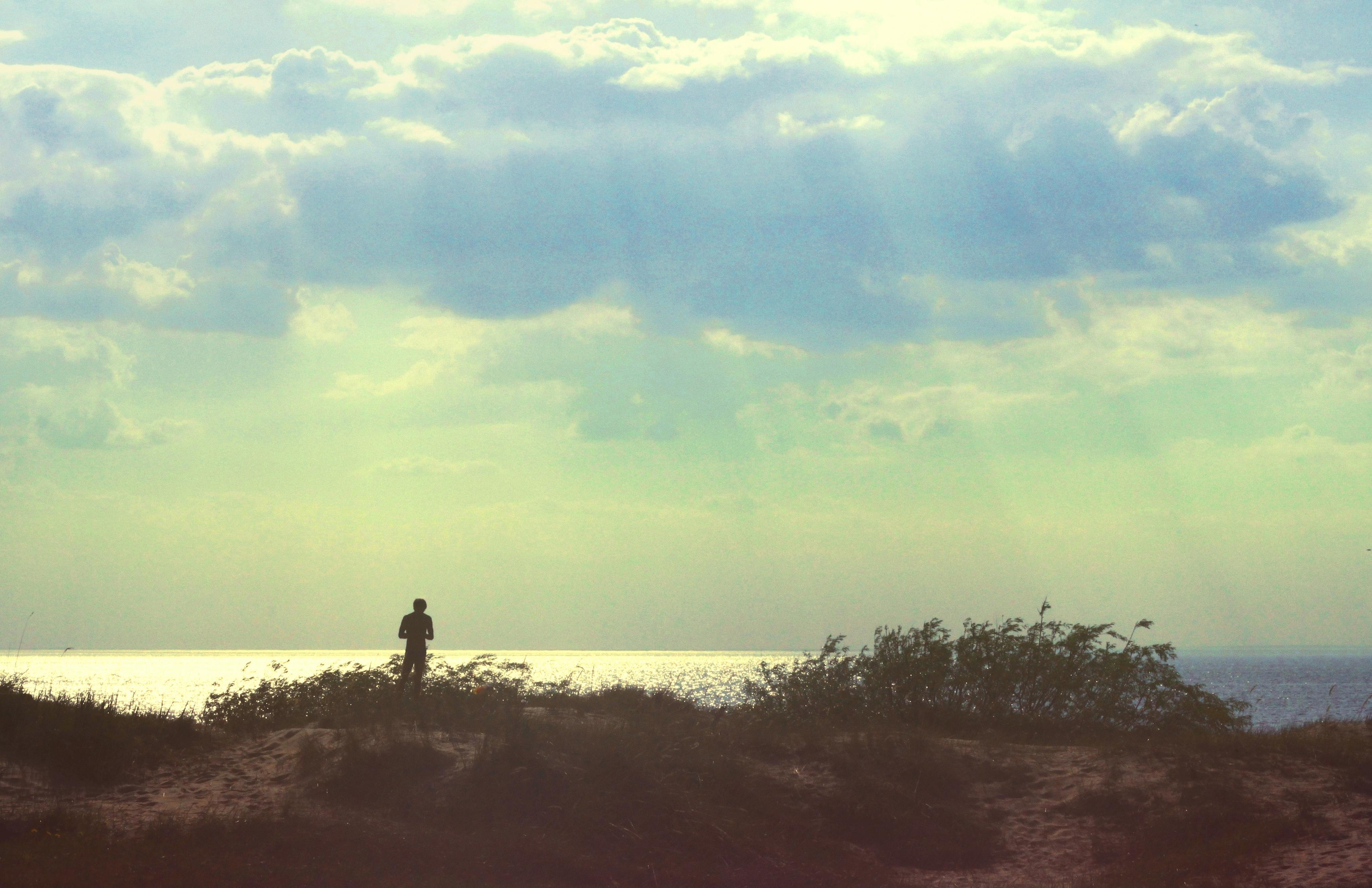 Strangers. Alina Panover