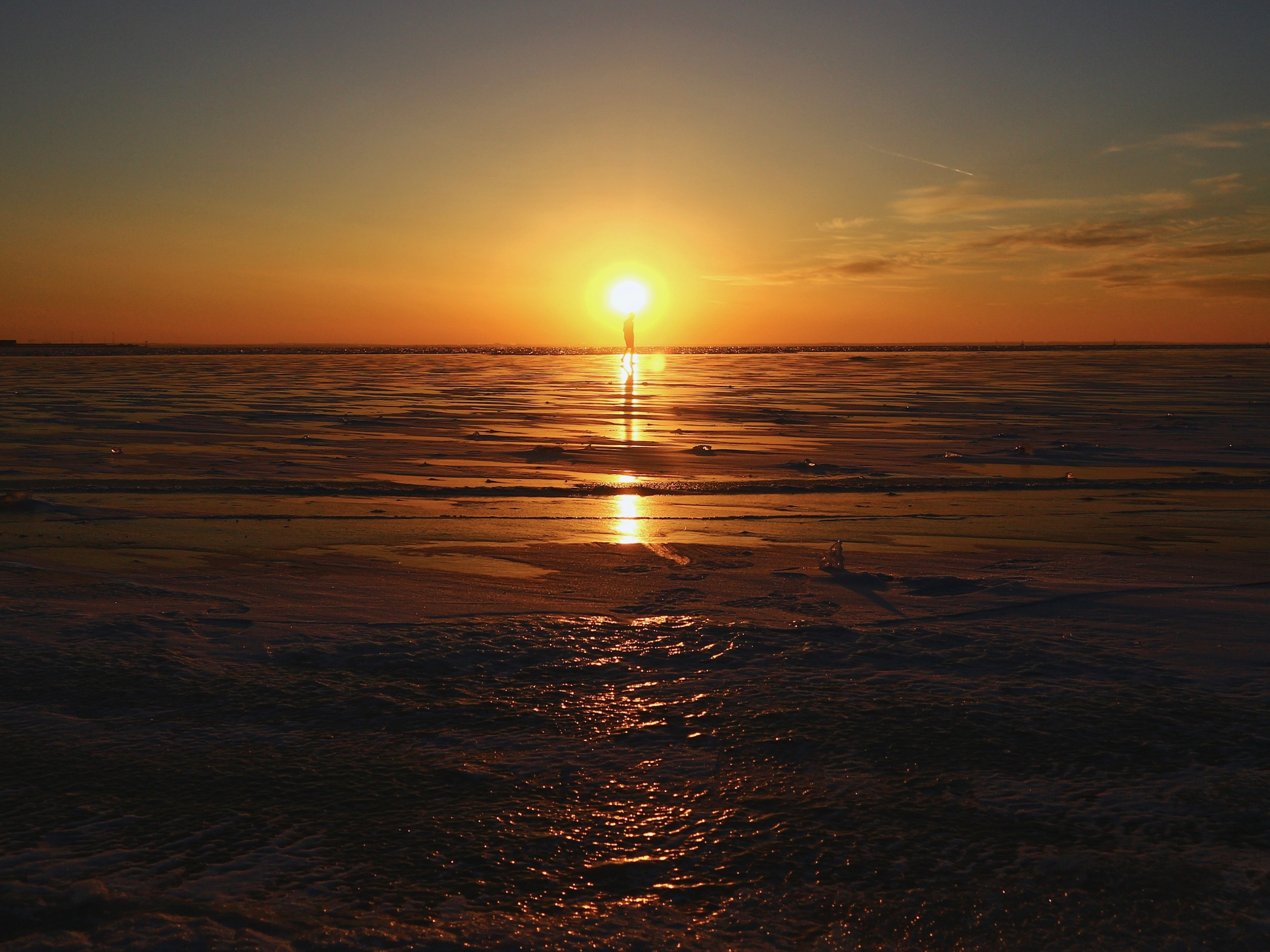 Strangers. Alina Panover