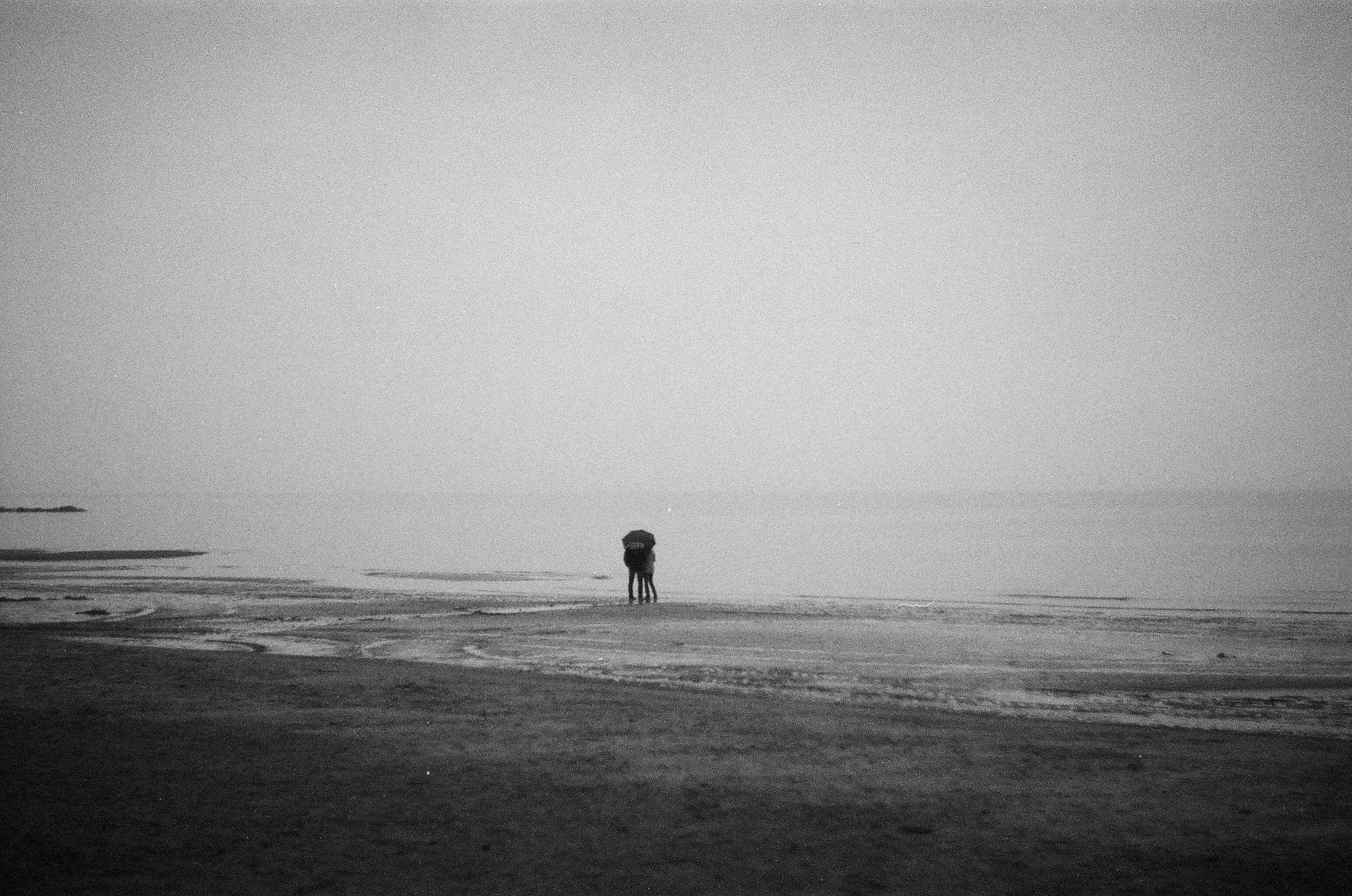 Strangers. Alina Panover