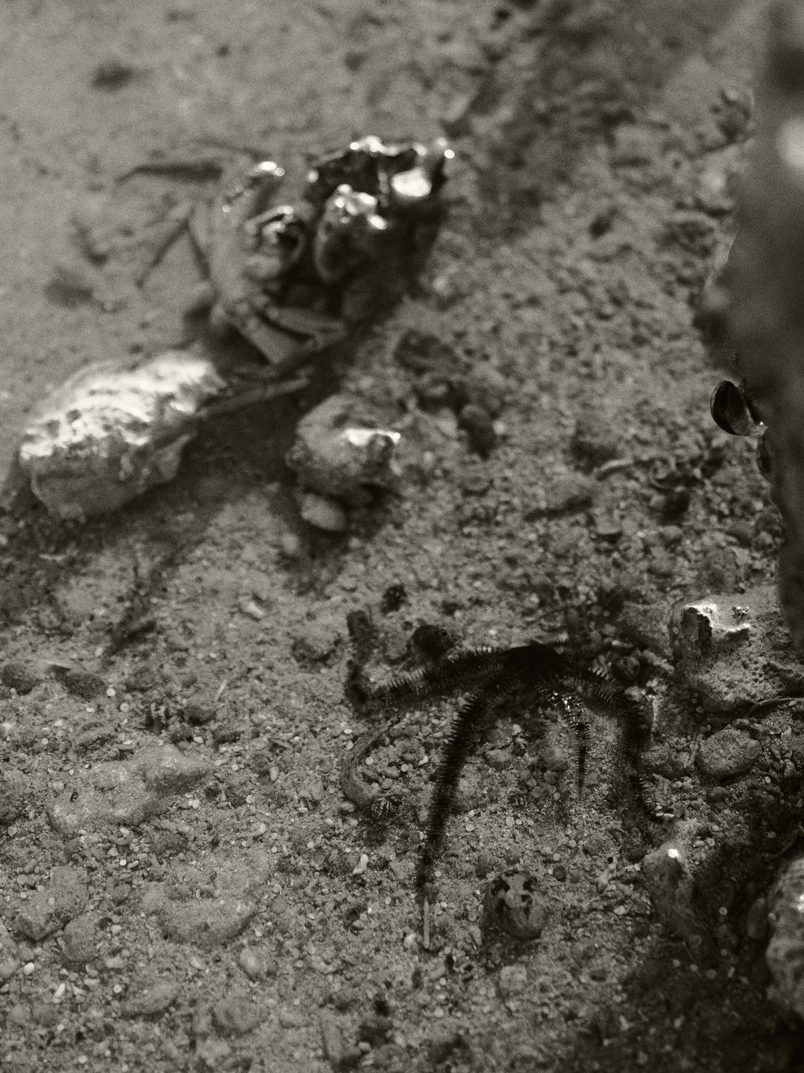 B&W. Jorgis — фотограф в Хургаде / обучение фотографии