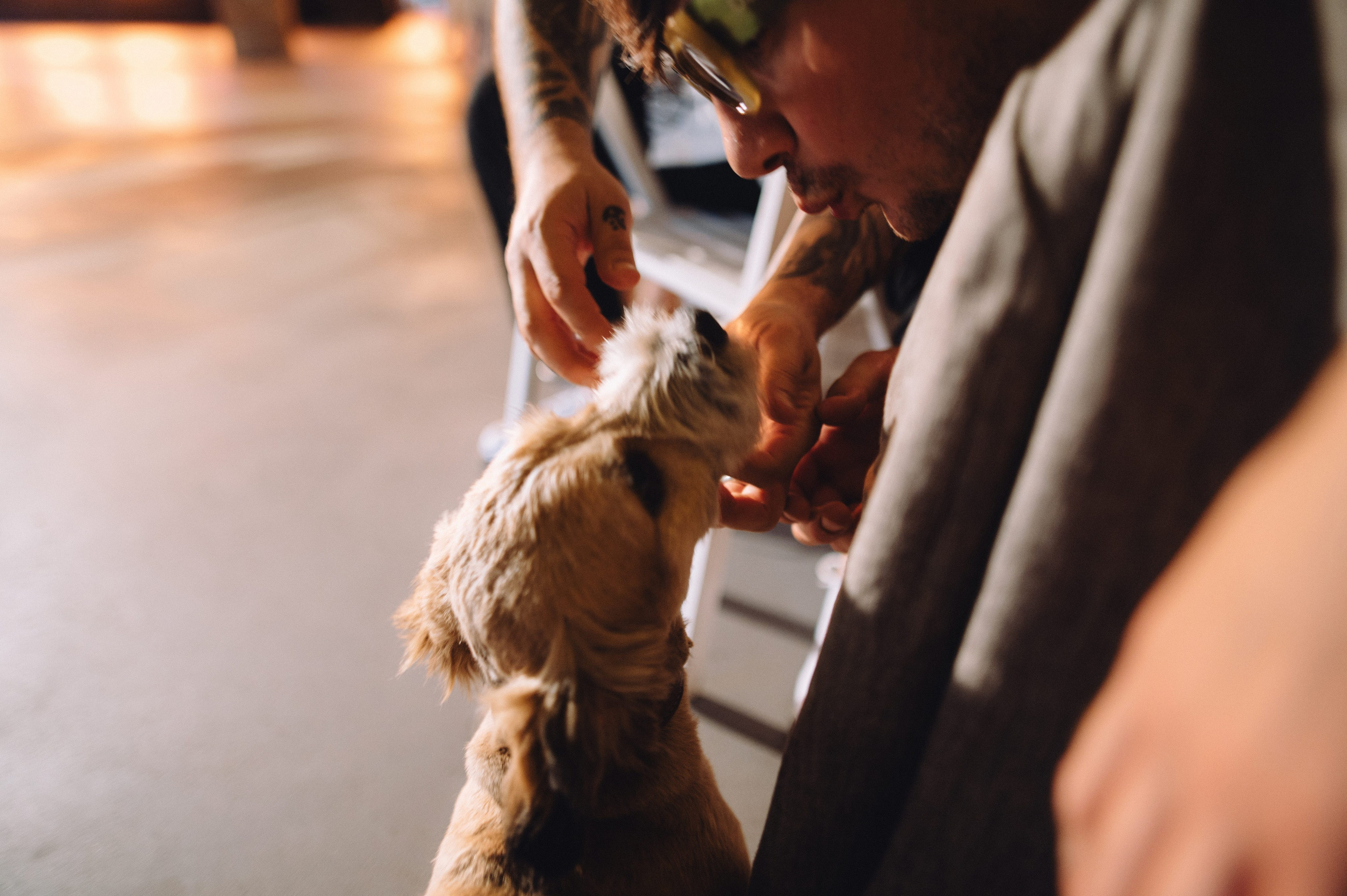 Слава и Даша. Профессиональный фотограф Алексей Васенцев. Минск, СПБ, Москва