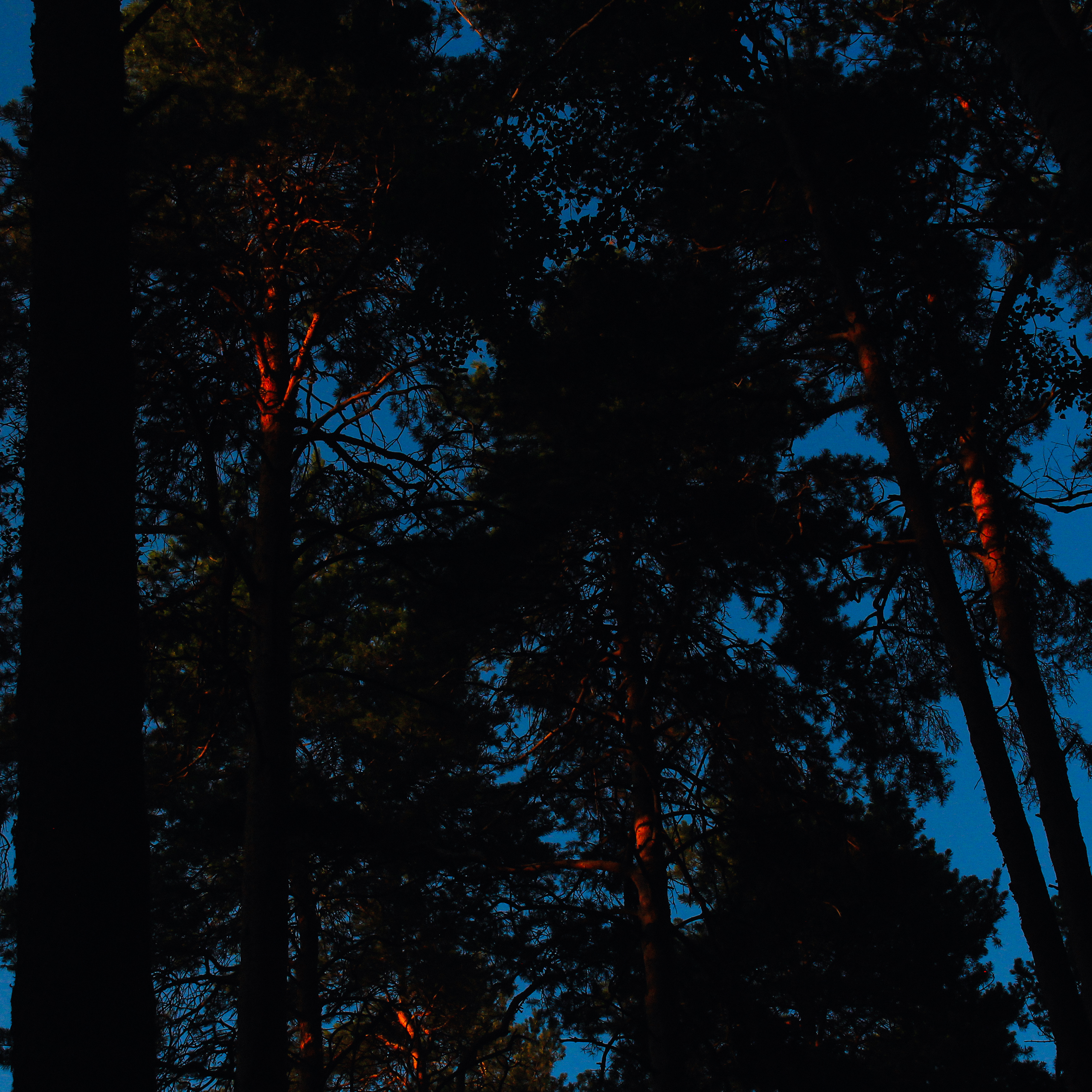 Summertime. Фотограф/дизайнер в Екатеринбурге Хитрый Дмитрий