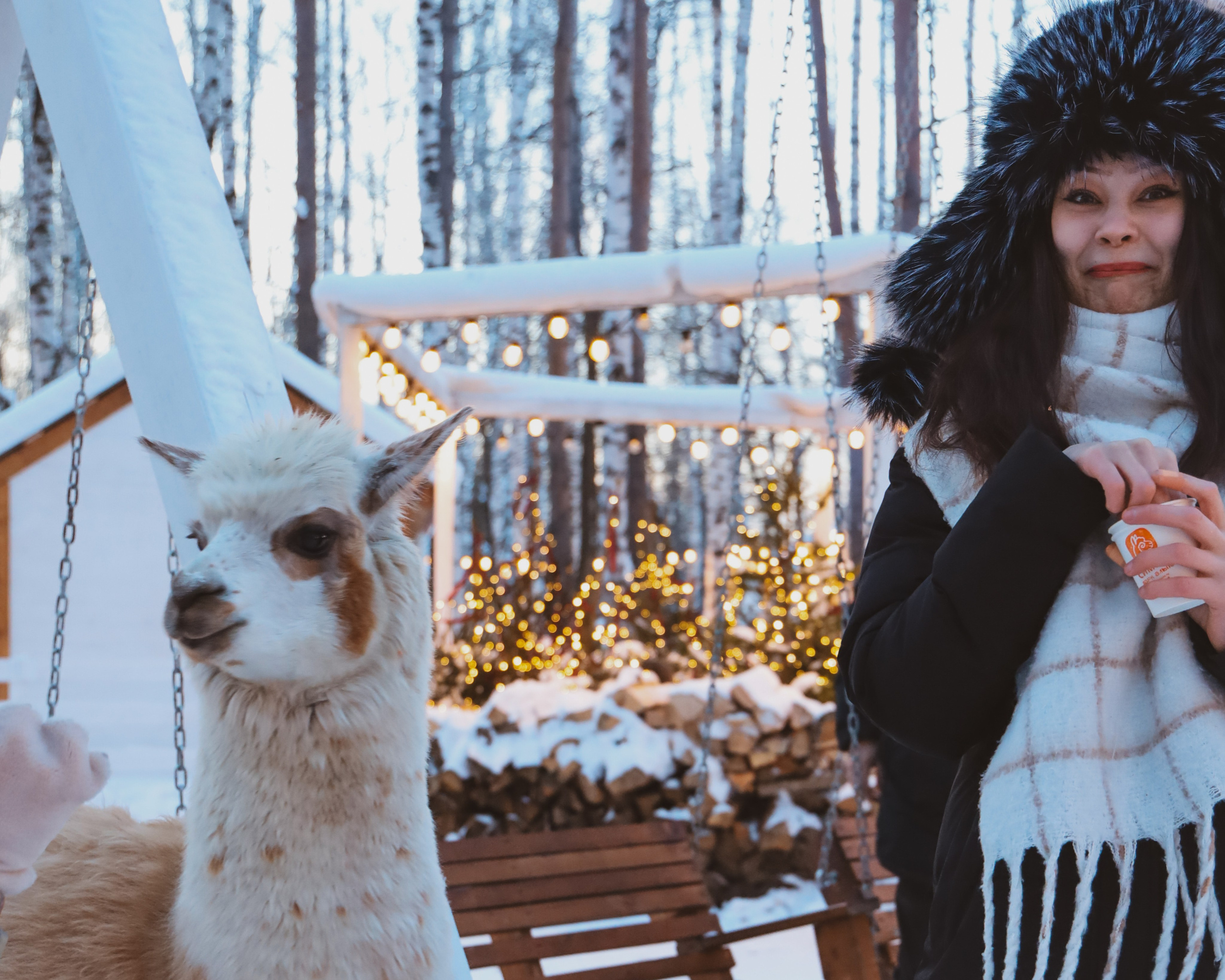 Alpaca park. Фотограф/дизайнер в Екатеринбурге Хитрый Дмитрий