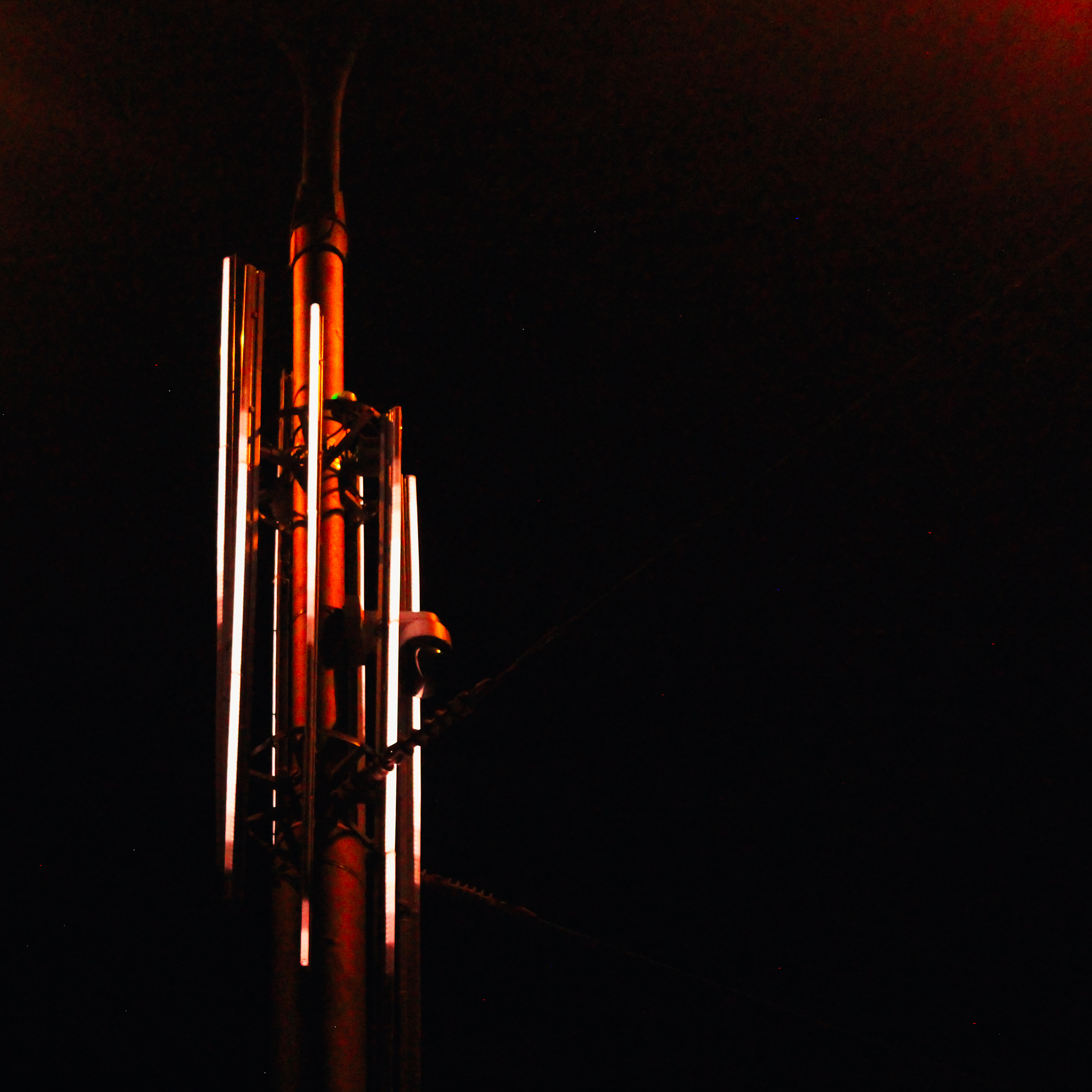 Summertime. Фотограф/дизайнер в Екатеринбурге Хитрый Дмитрий