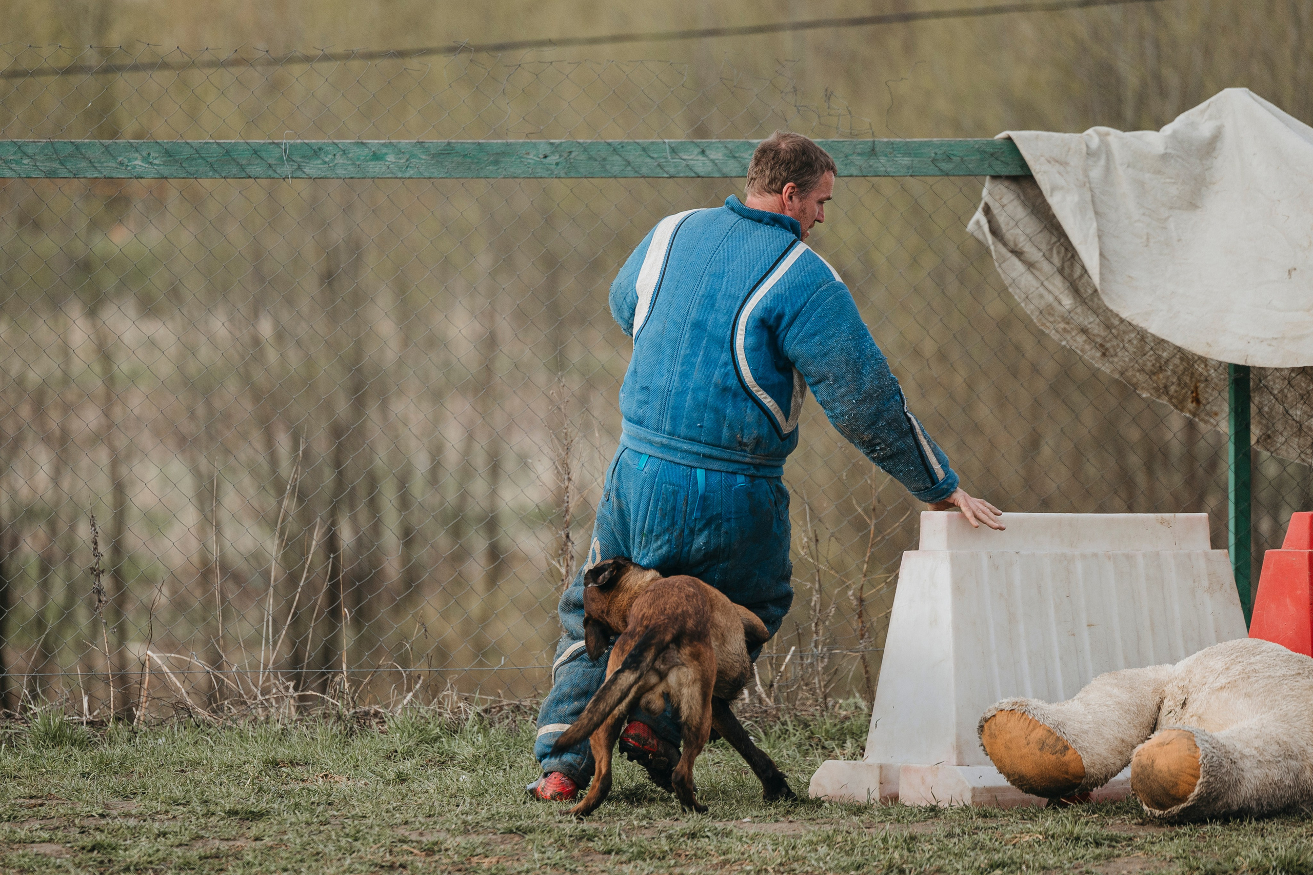 09.05.25 Вологда соревнования. Фотограф-анималист Анна Маринич