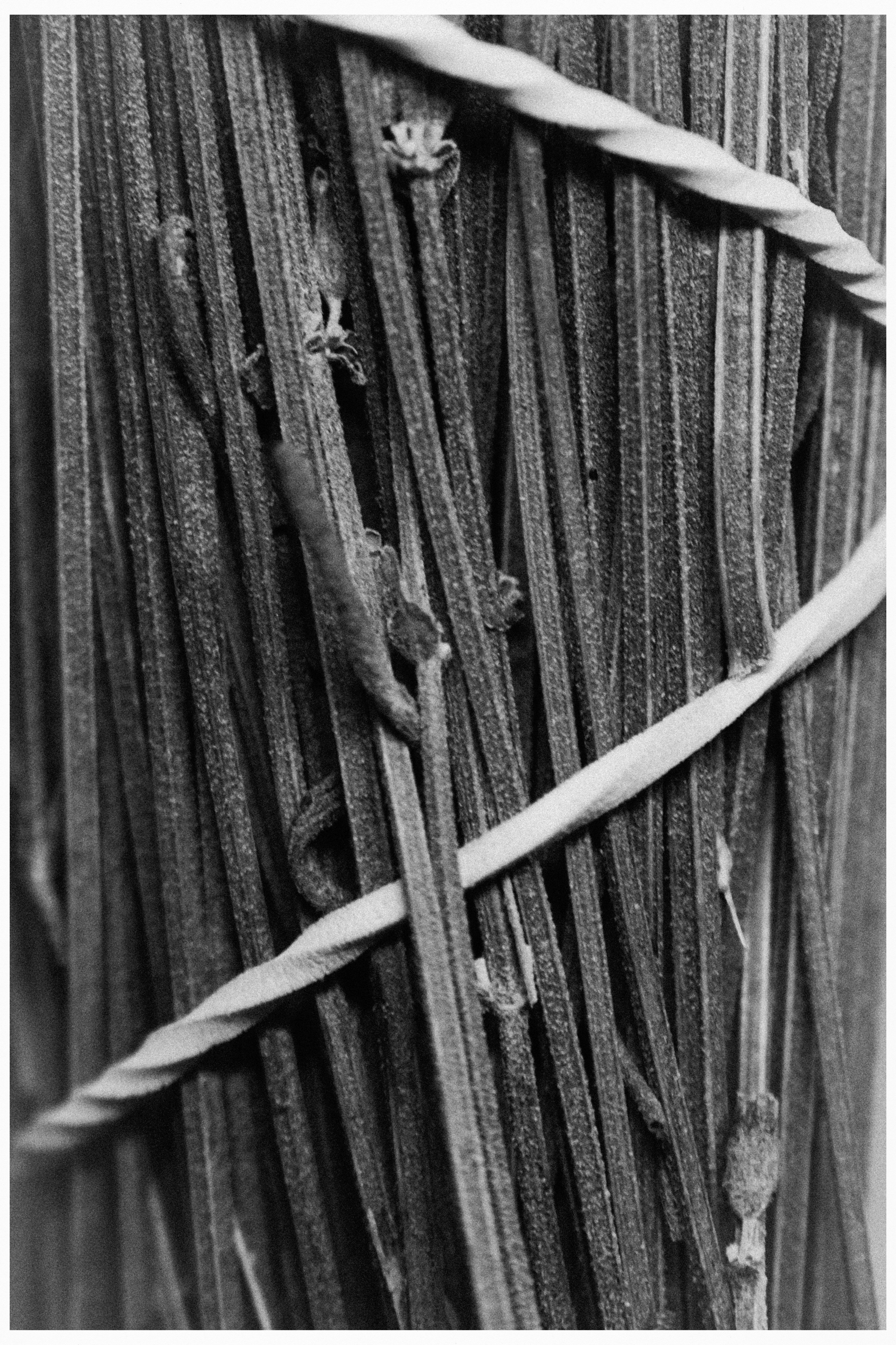 Female portrait. AI — artist | Documentary Photographer St. Petersburg, Milan