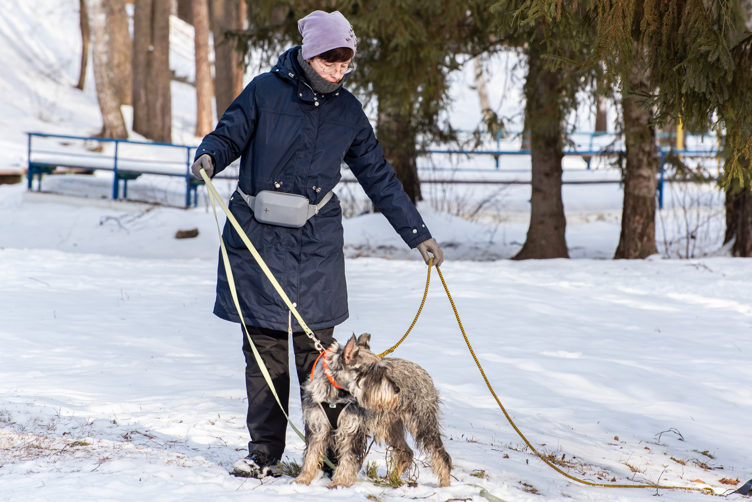 Фотосъёмка с собаками в Кинологическом лагере. Фотограф Макс Огурцов в Нижнем Новгороде