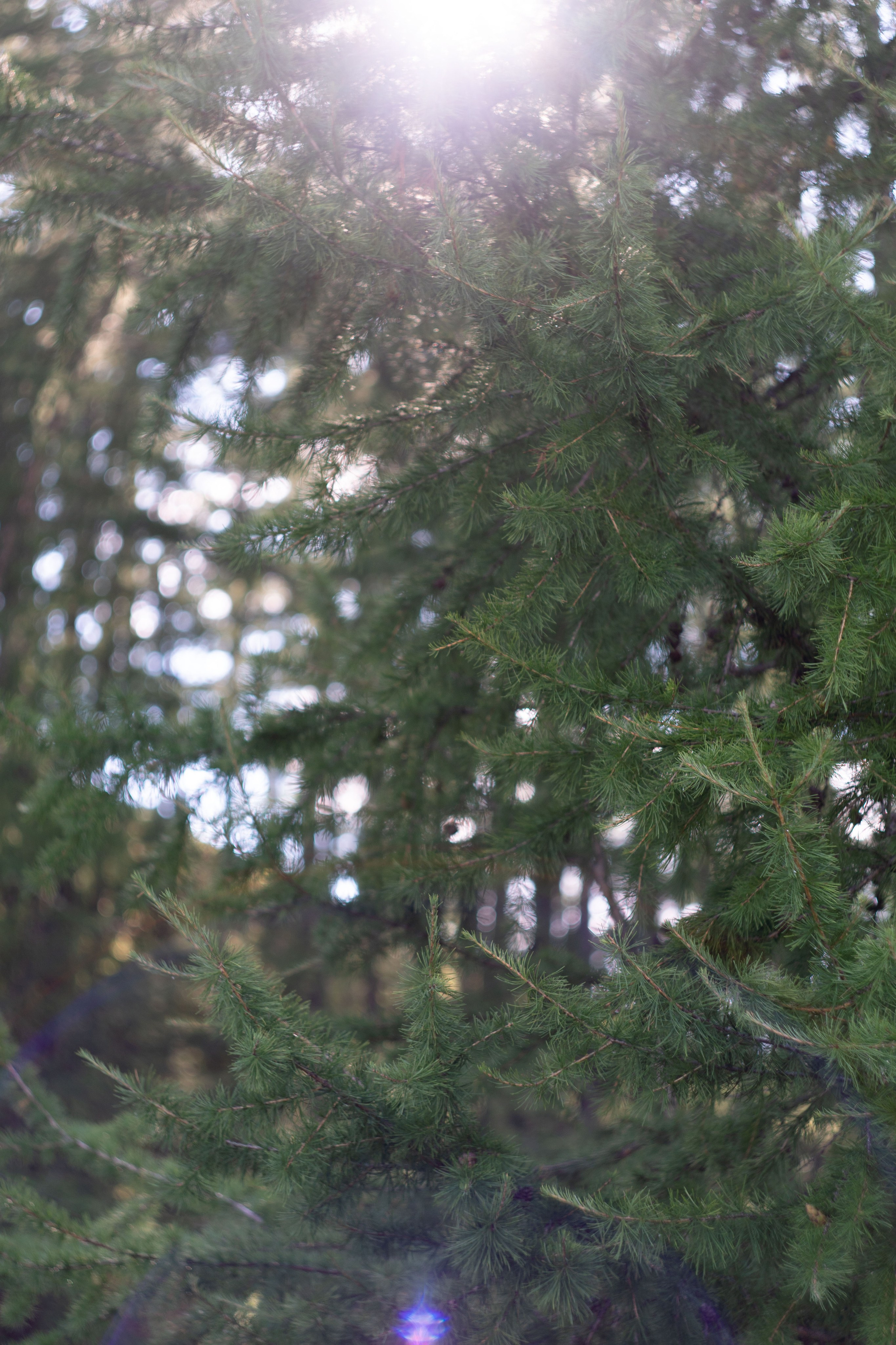 Окинский район, Бурятия. Медиа-портфолио Марии Абрашиной