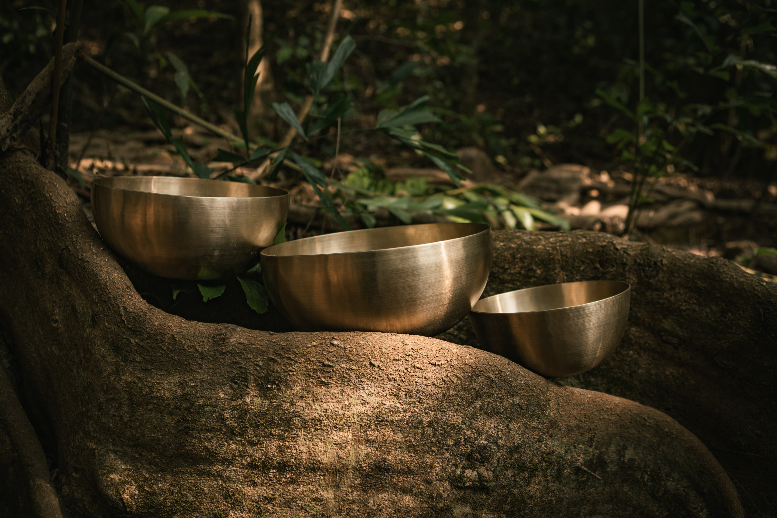 SINGING BAWLS. Сайт Фотографа MASHASOLAR