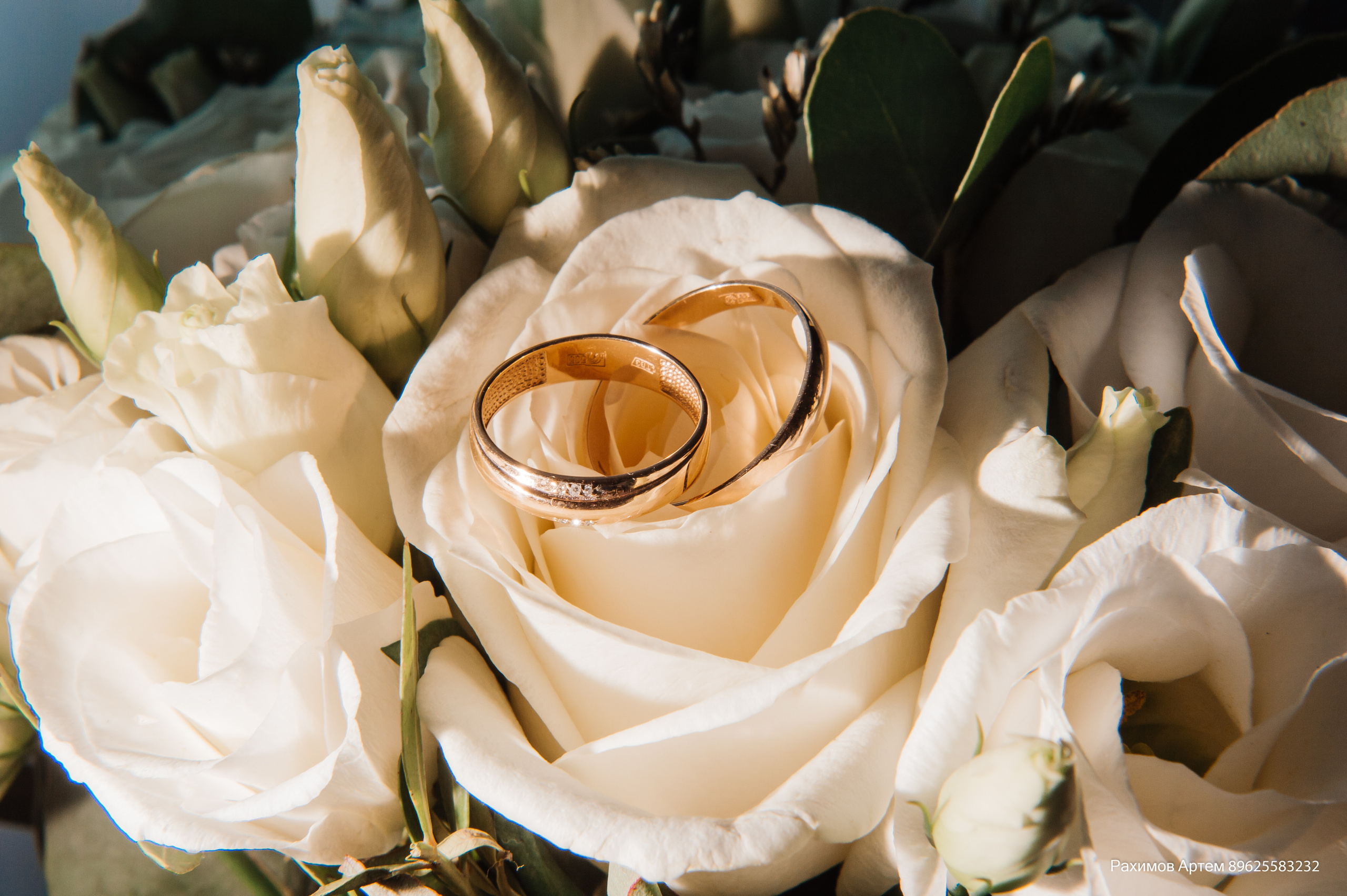 Фотосессия студия. Профессиональный фотограф Артем Рахимов в Казани