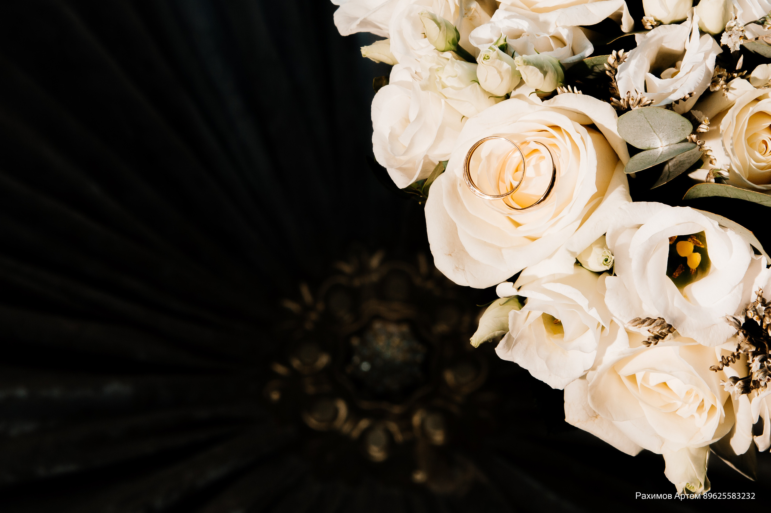 Фотосессия студия. Профессиональный фотограф Артем Рахимов в Казани