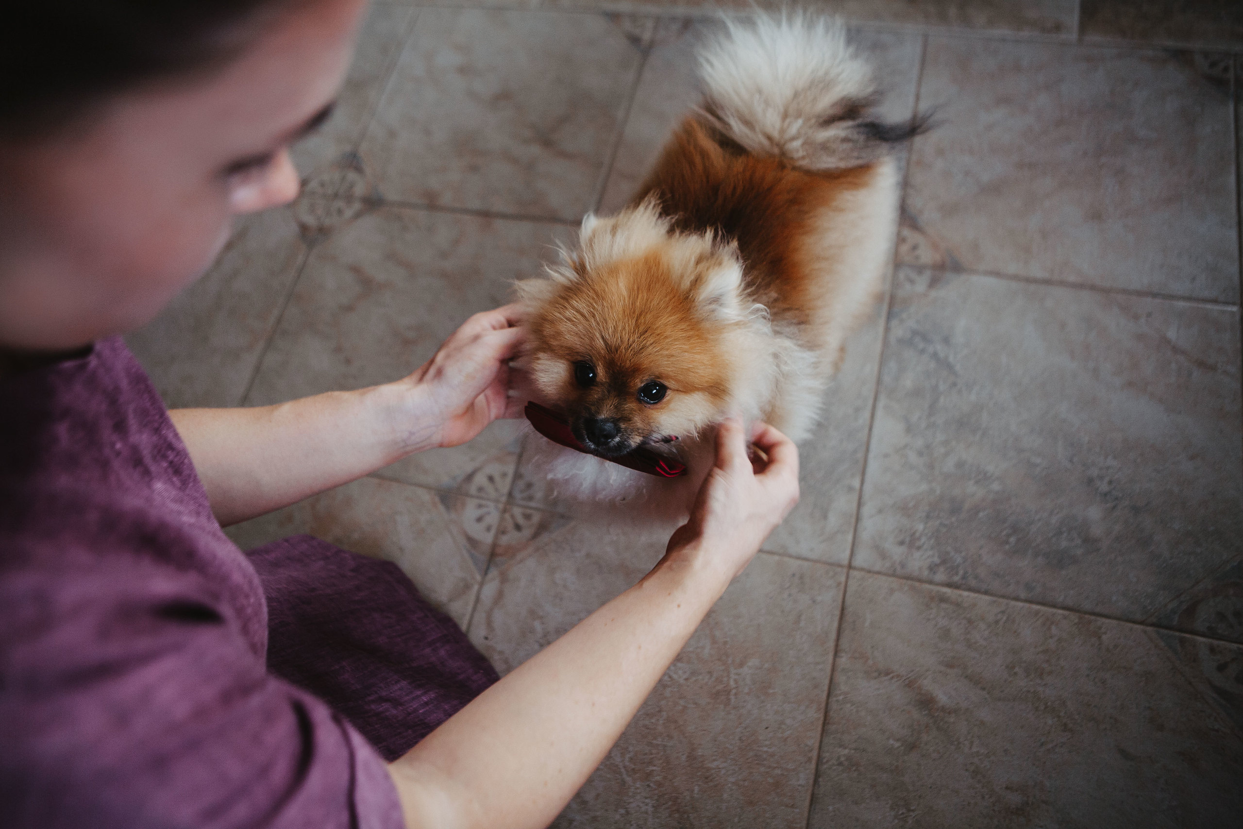 Wedding | Алена и Сережа. Фотограф в Санкт-Петербурге Милая Мила