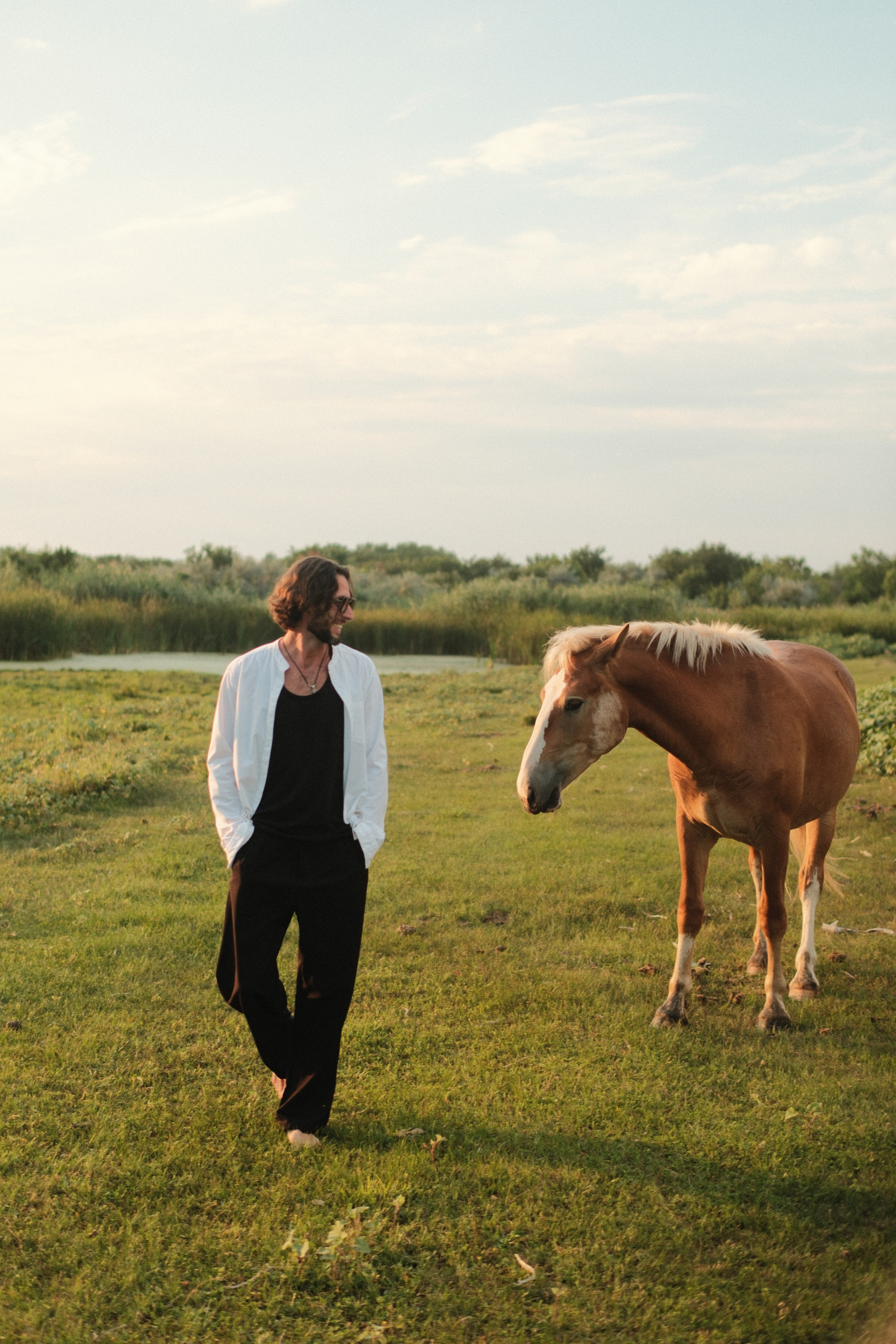 В поле с конём. Фотограф/Видеограф из Саратова