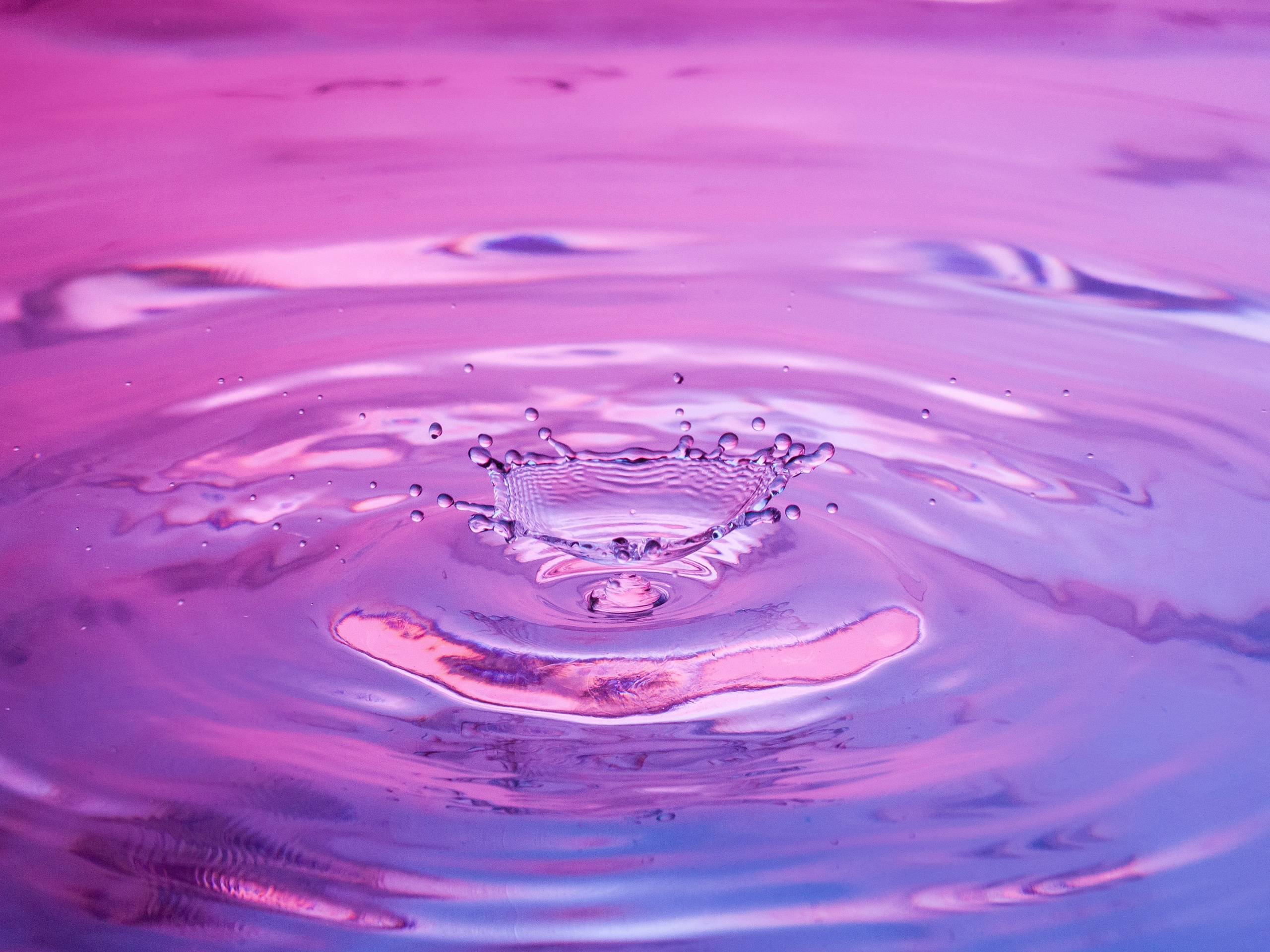 Капли. Фотограф Мария Кольцова