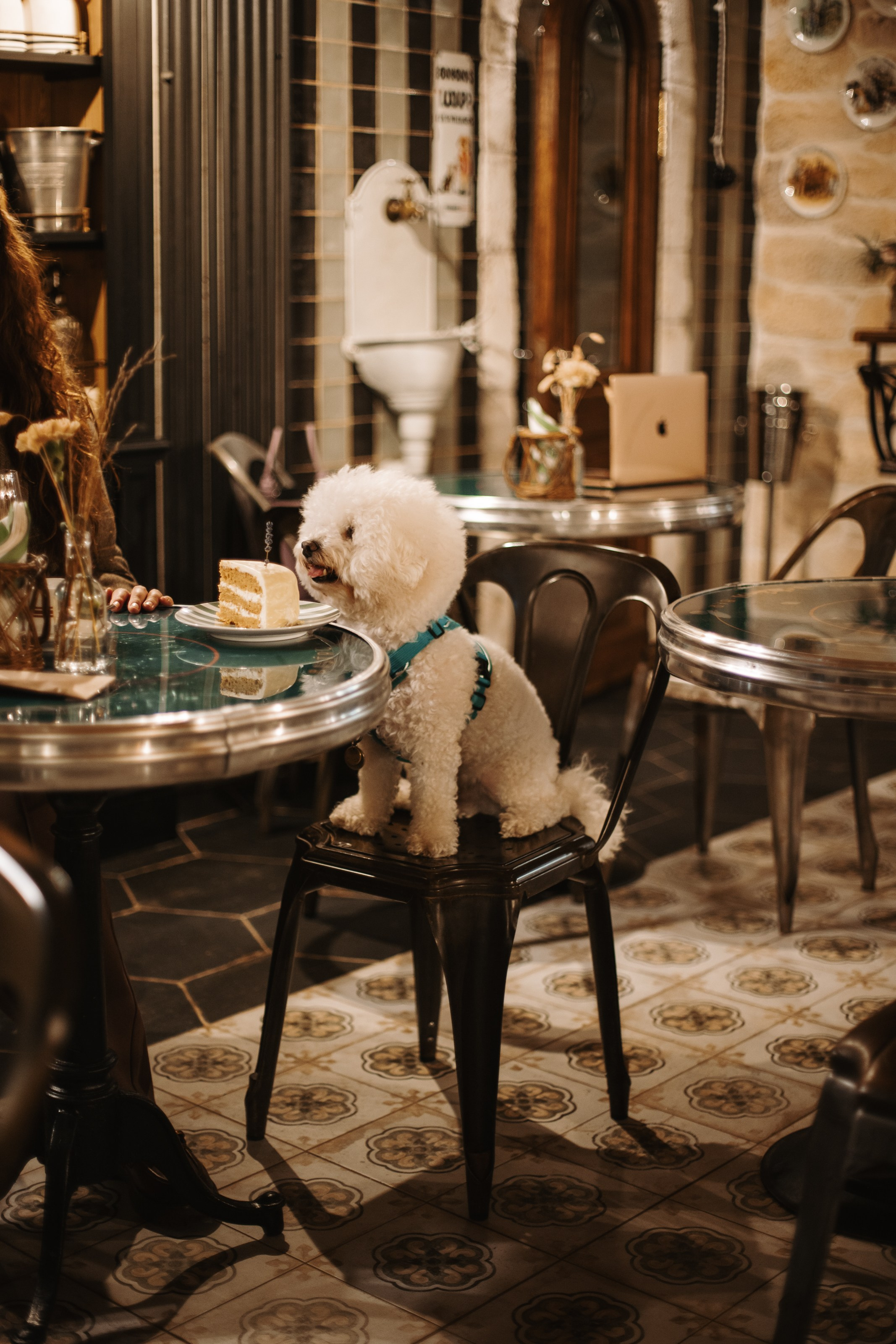 Adrian Bistro. Фотограф на Юге России