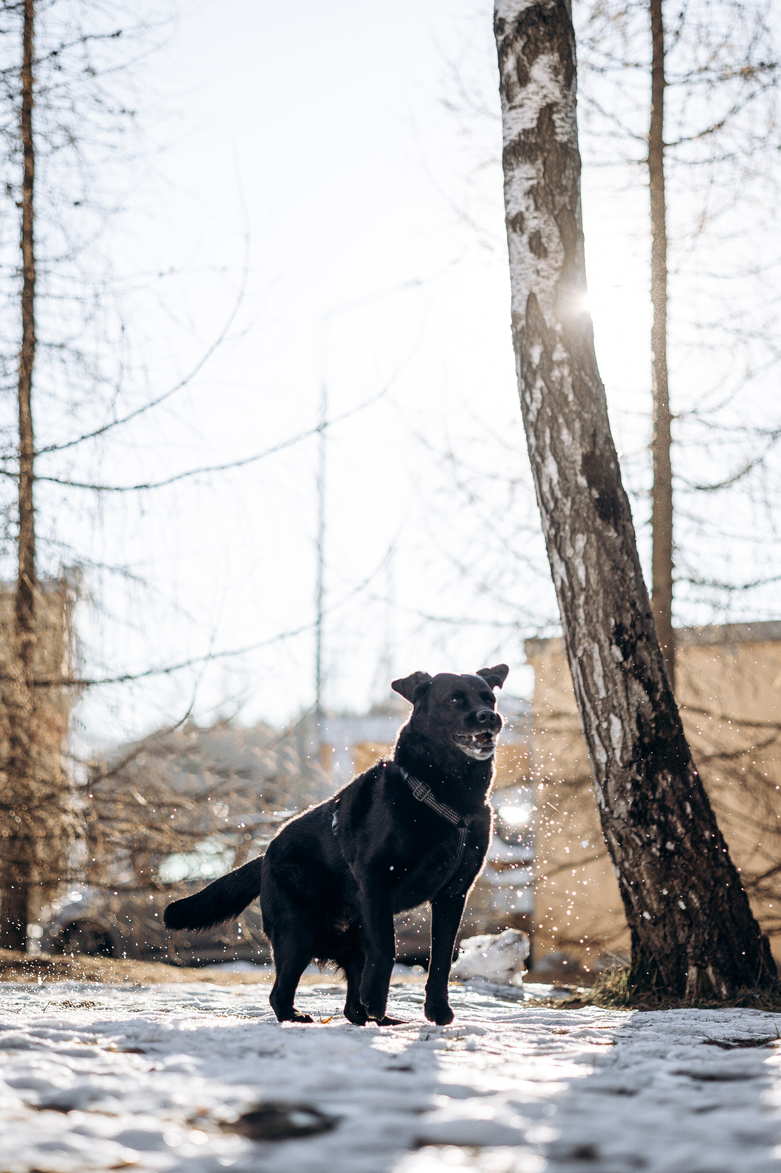 Таня и ее семья. Фотограф — Анималист | Санкт-Петербург