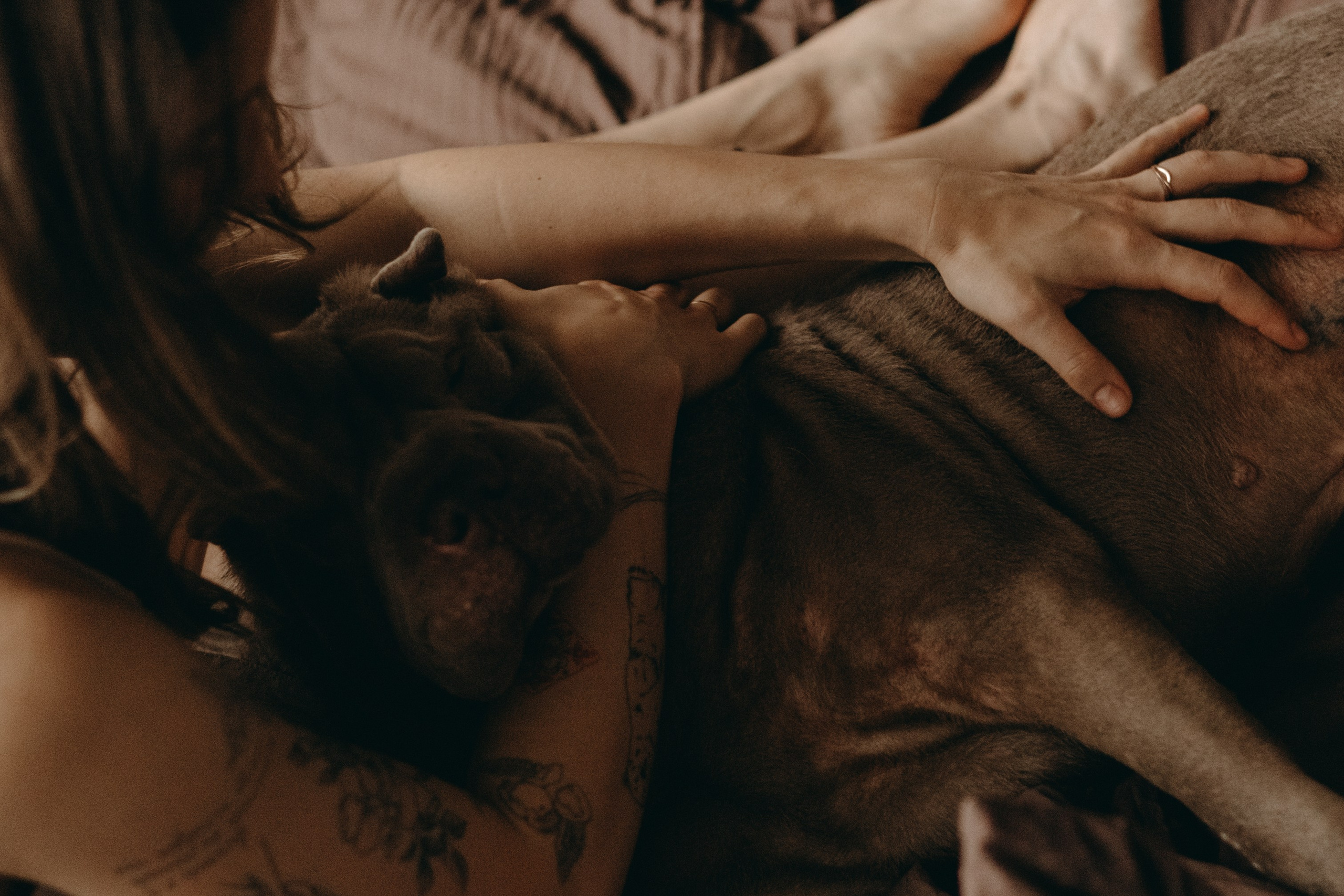 Ульяна и Вагнер. Фотограф — Анималист | Санкт-Петербург