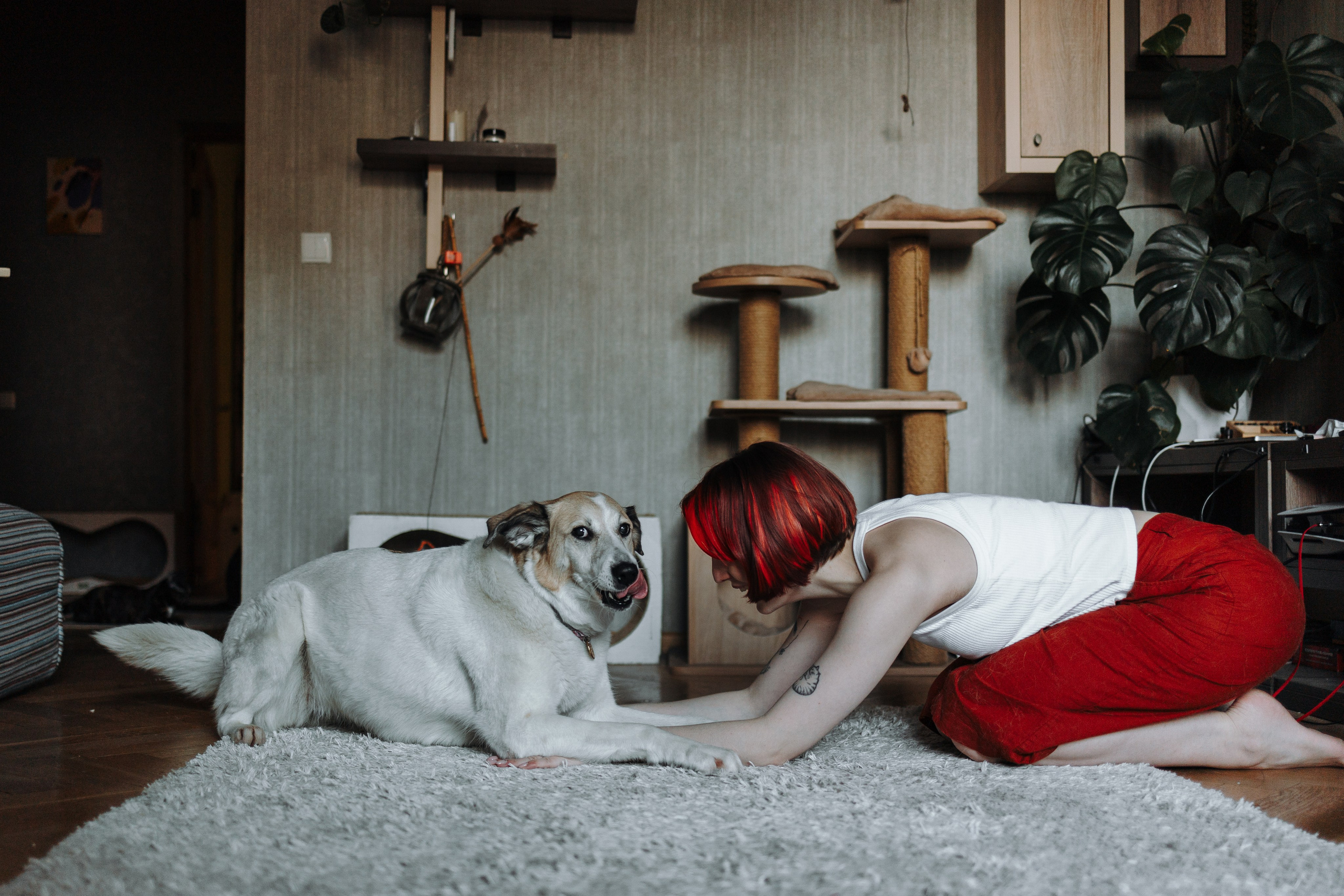 Саша и ее хвосты. Фотограф — Анималист | Санкт-Петербург