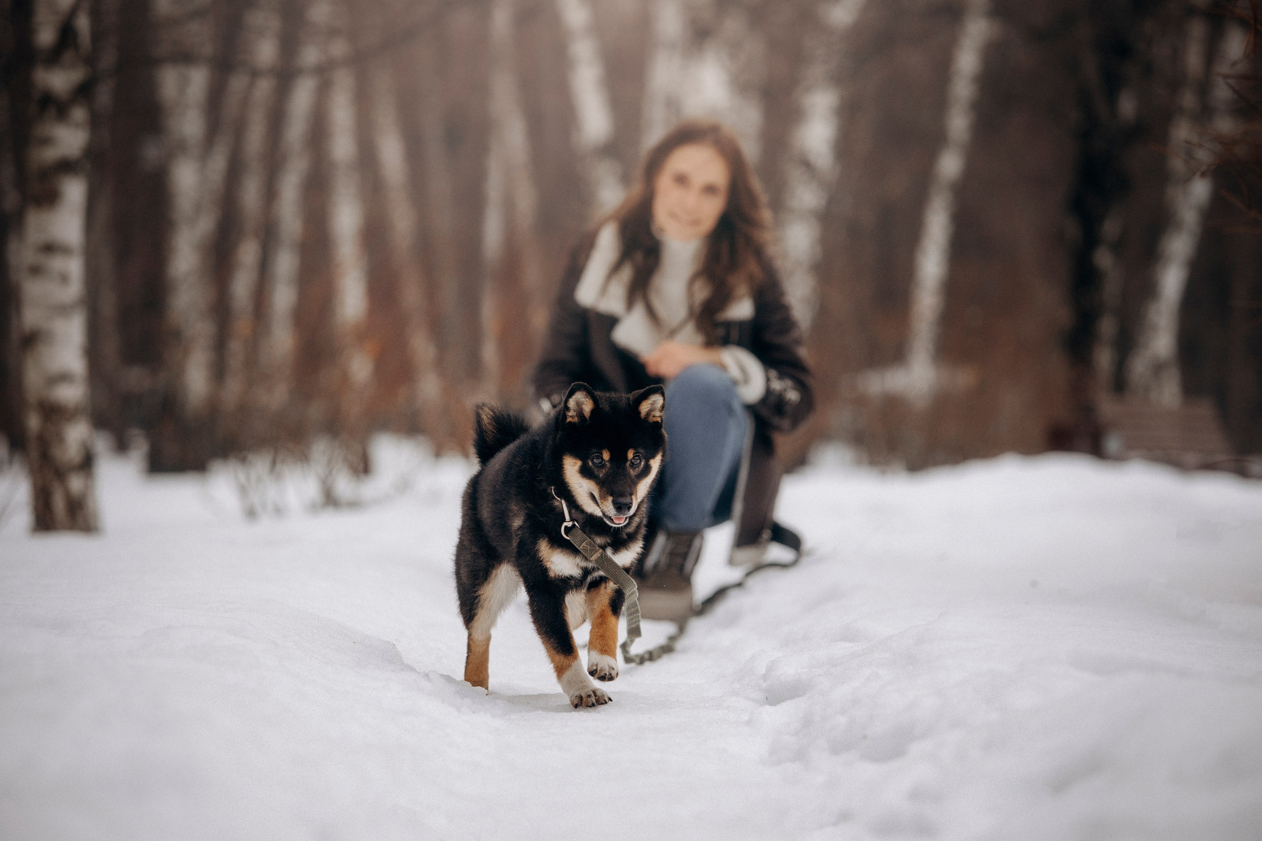 Дарья и Мики. Фотограф — Анималист | Санкт-Петербург