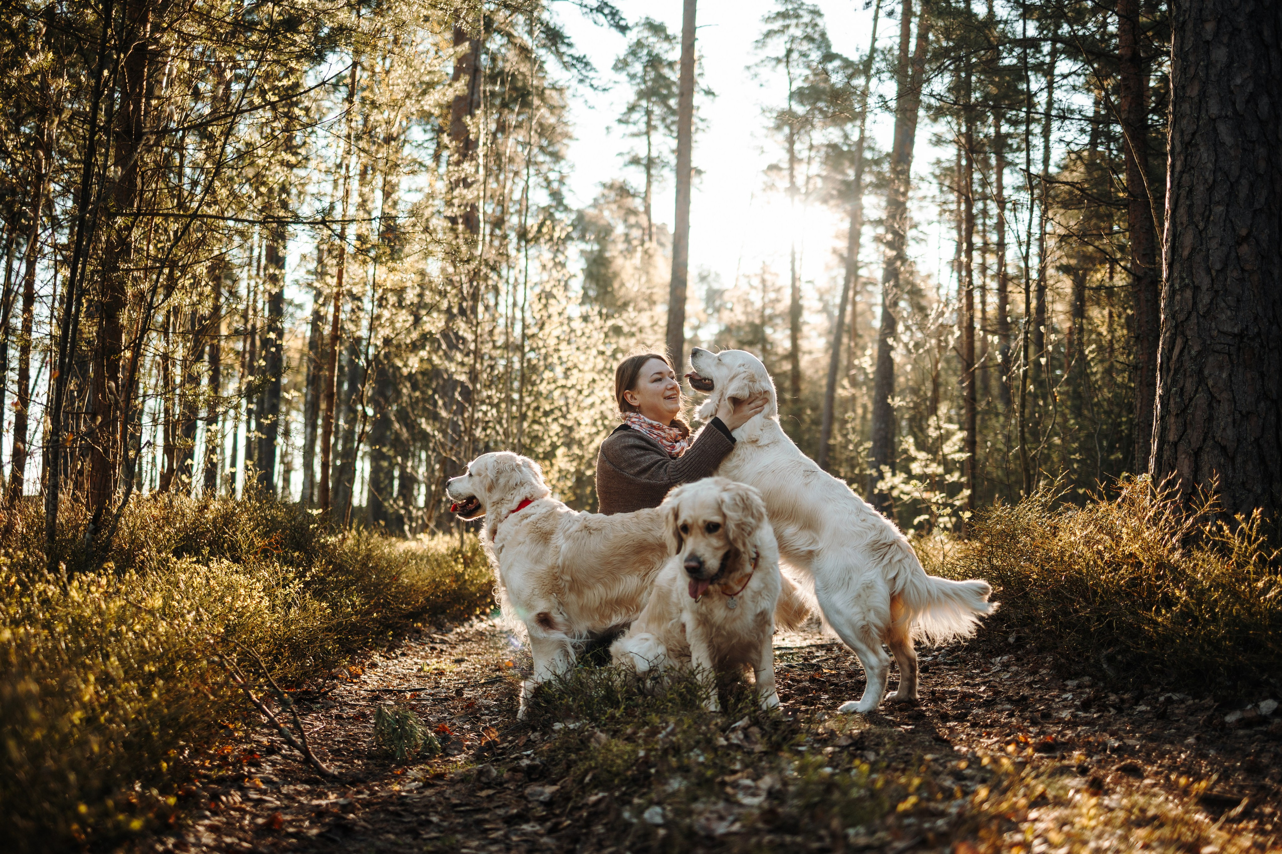 Катя и ее девочки. Фотограф — Анималист | Санкт-Петербург