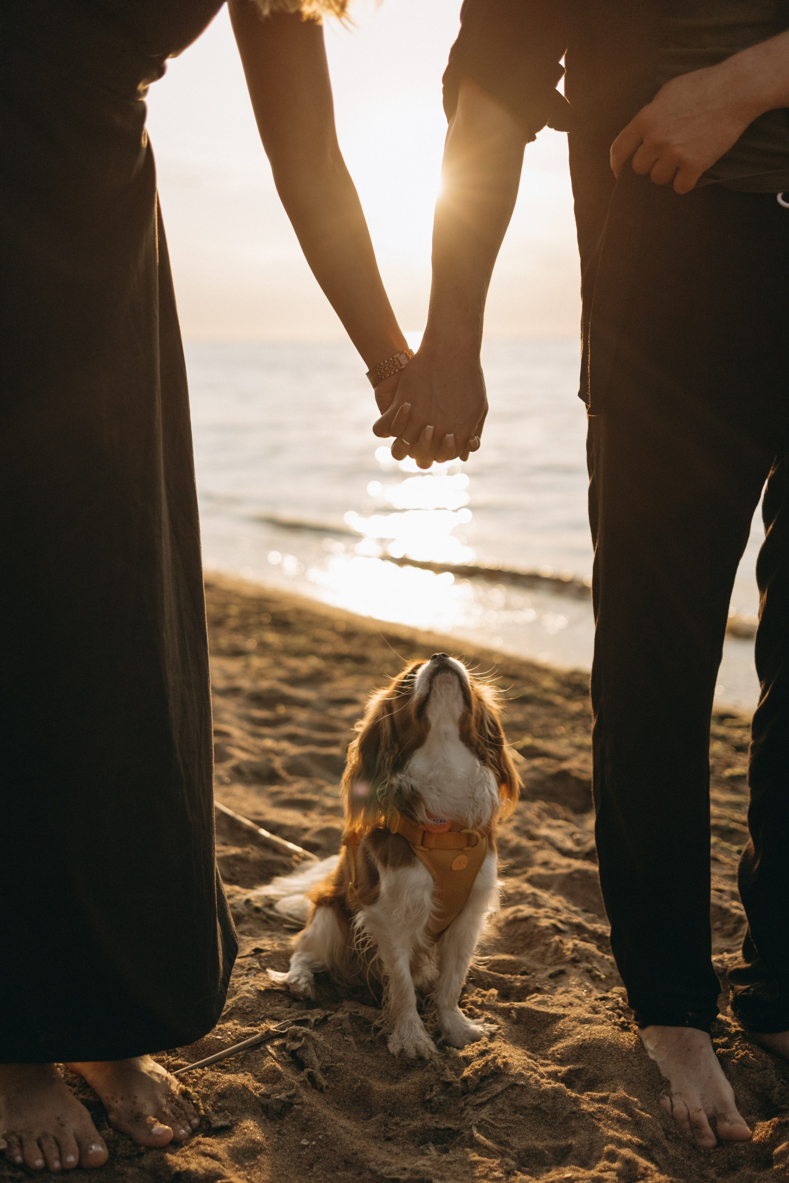 Лу и его семья. Фотограф — Анималист | Санкт-Петербург